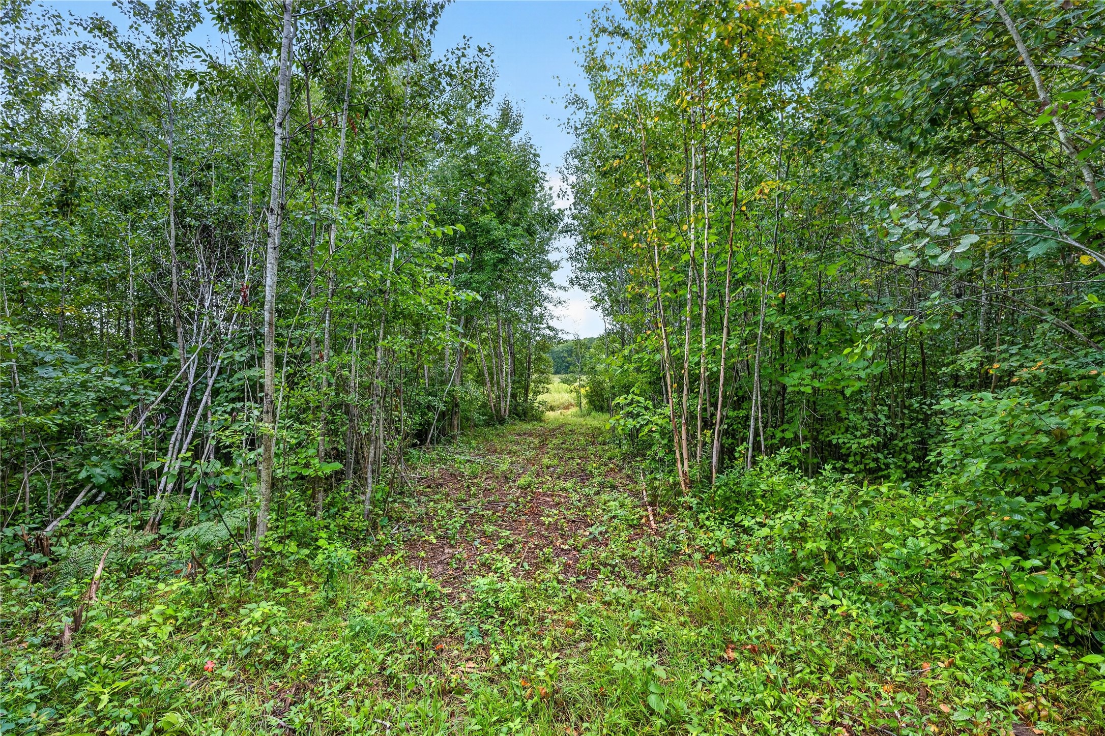000 Fye Road Property Photo 4