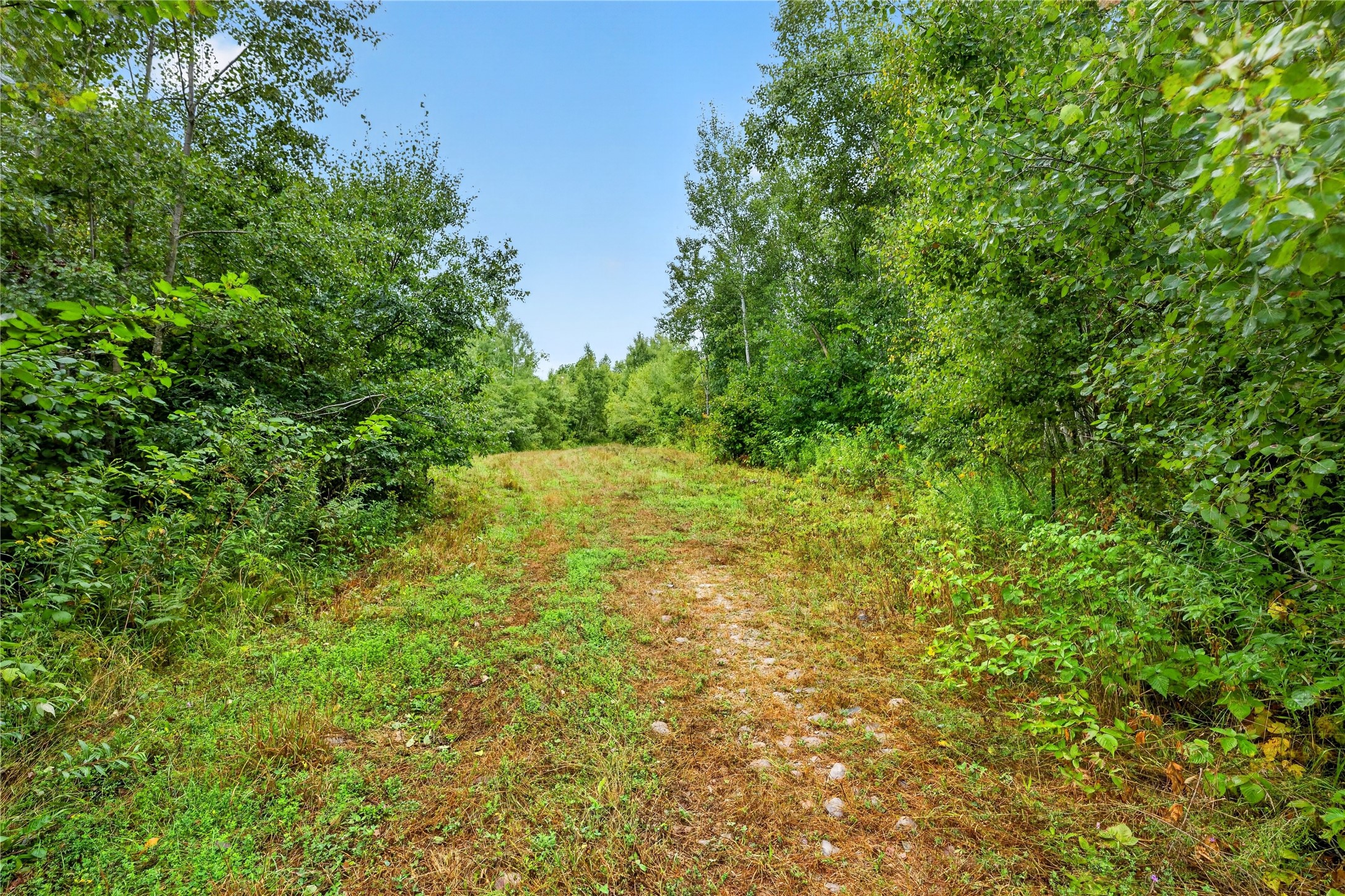 000 Fye Road Property Photo 6