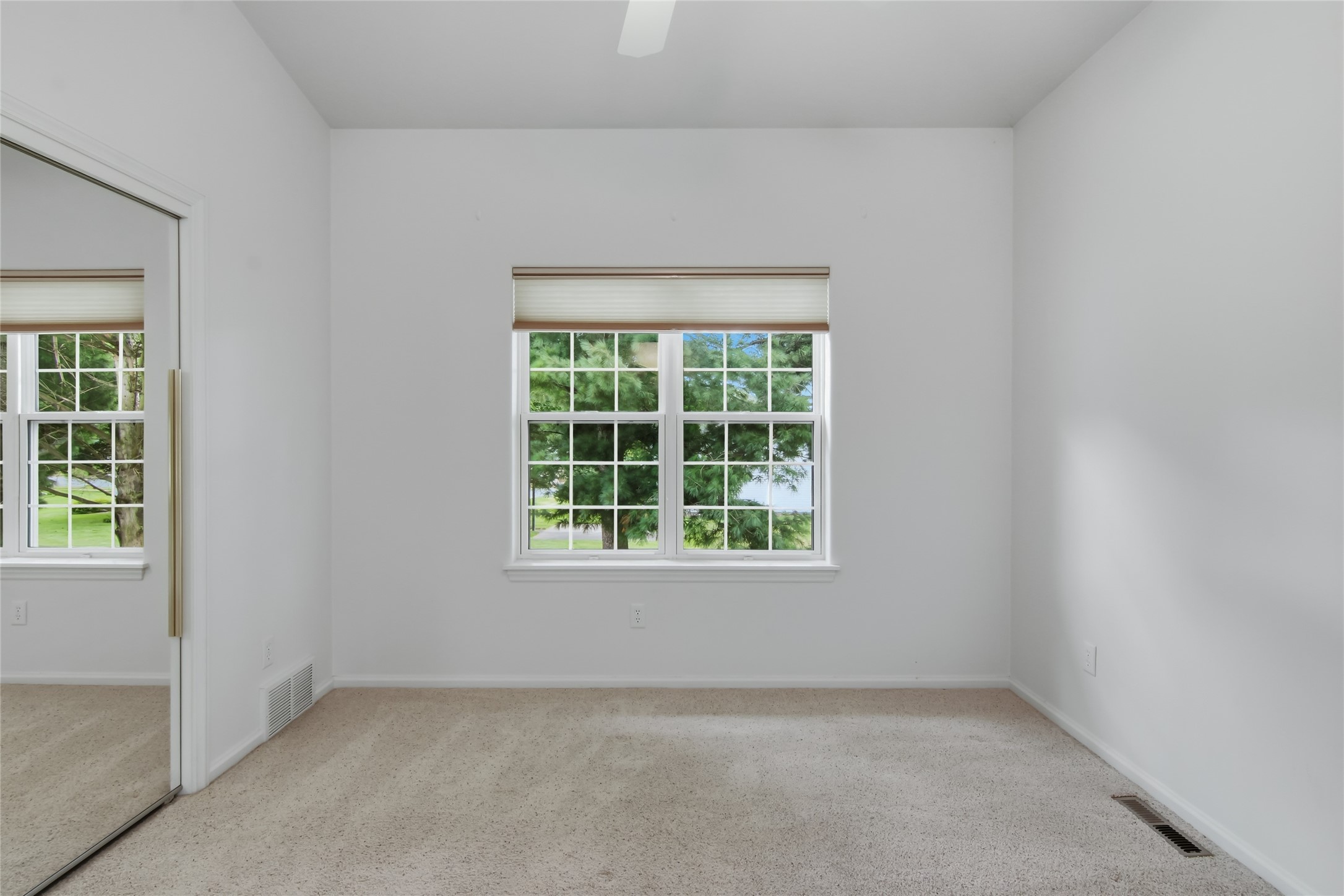 1807 Pine Park Drive Property Photo 28