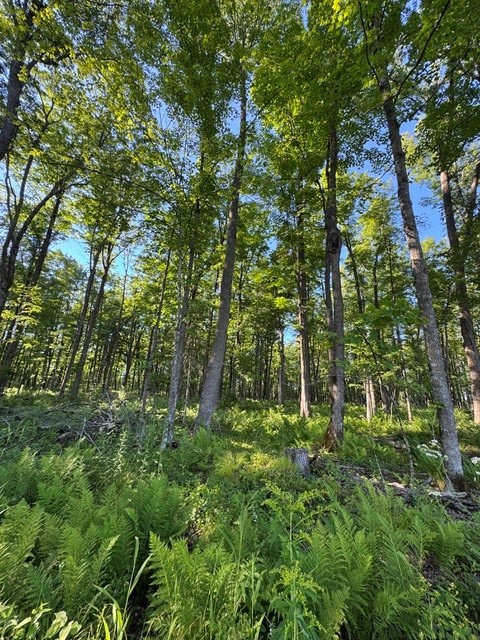 Xxx East Grow Road Property Photo 9
