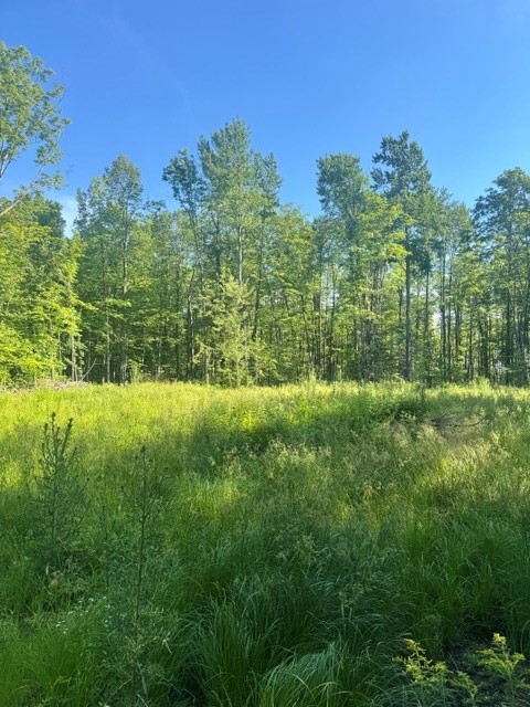 Xxx East Grow Road Property Photo 16