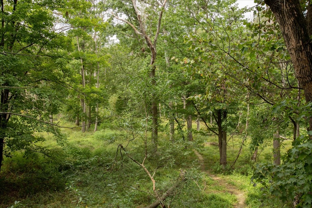 1121 River Heights Road Property Photo 51