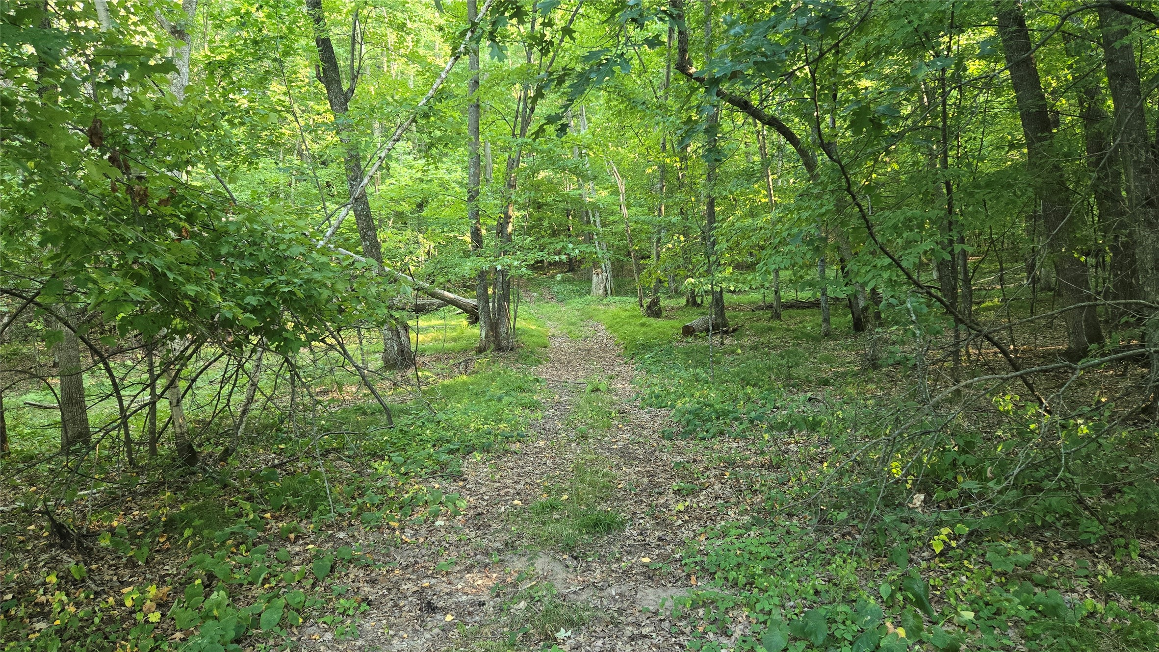 E01 State Hwy 64 Property Photo 2