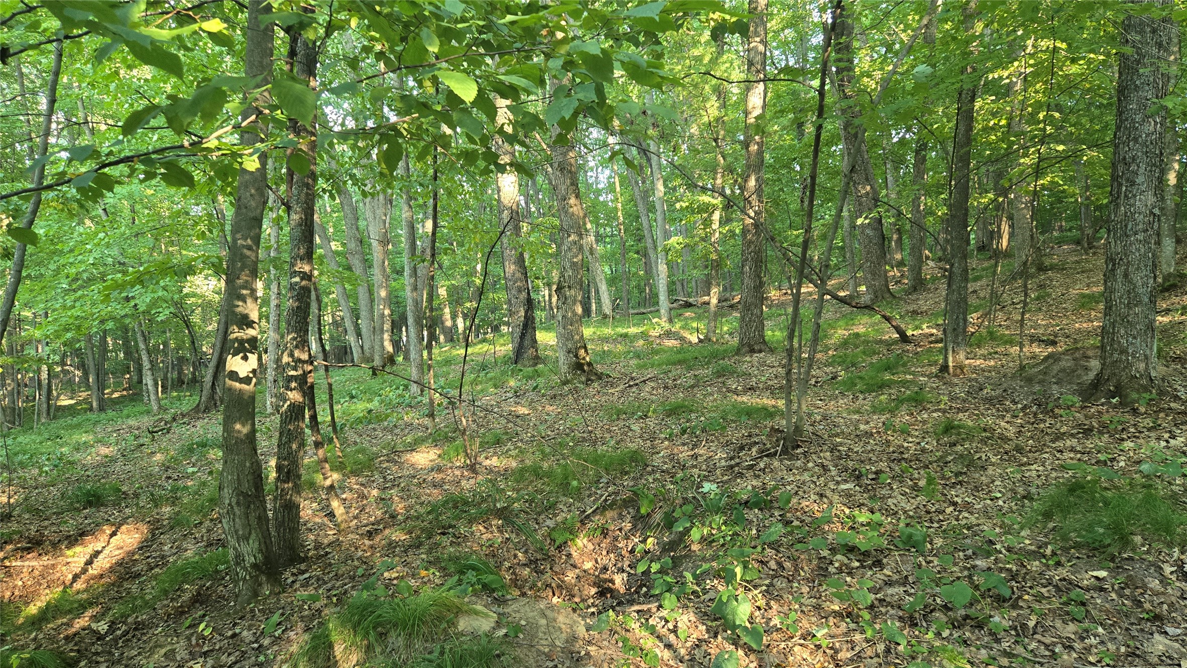 E01 State Hwy 64 Property Photo 3