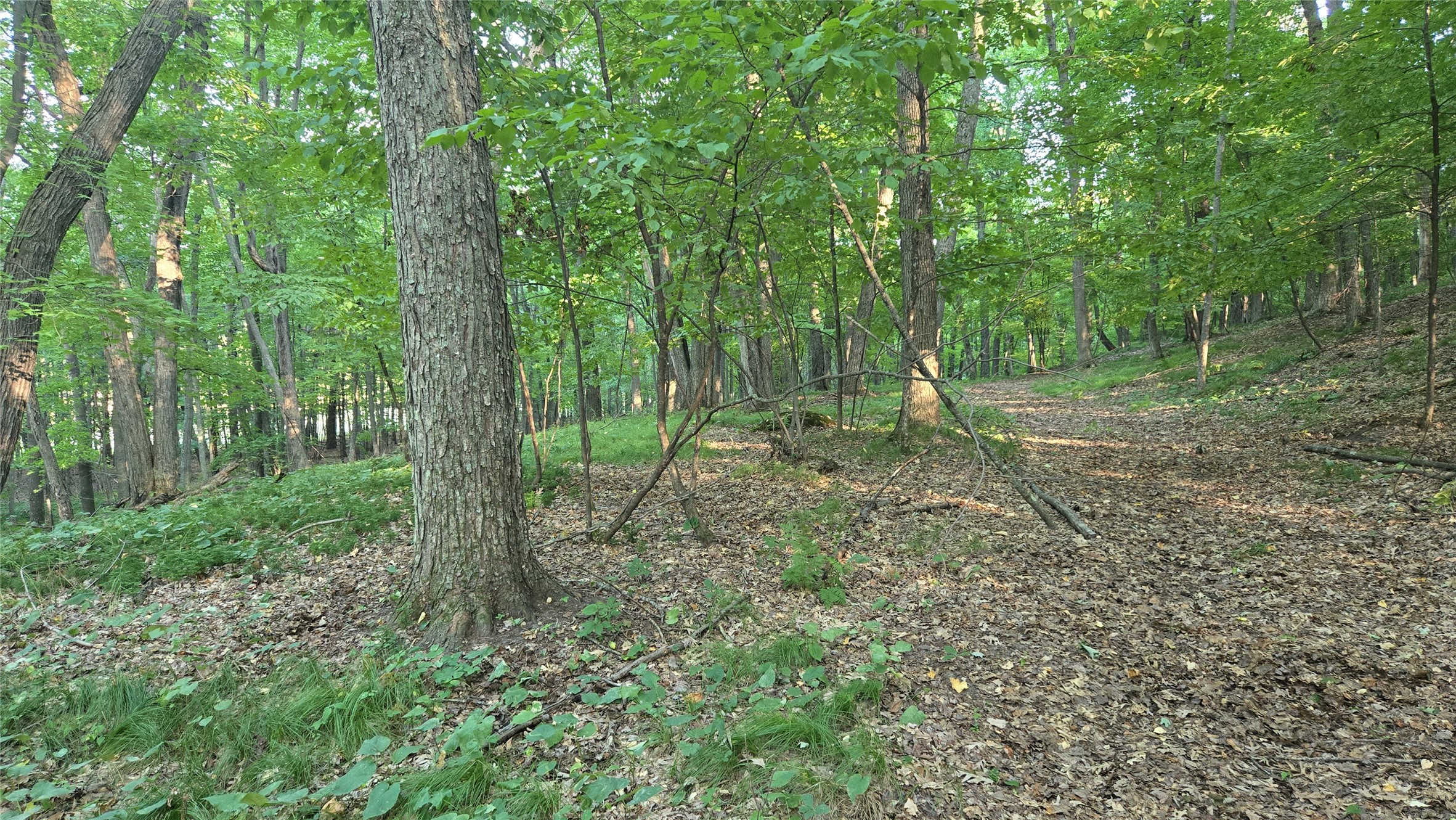 E01 State Hwy 64 Property Photo 6