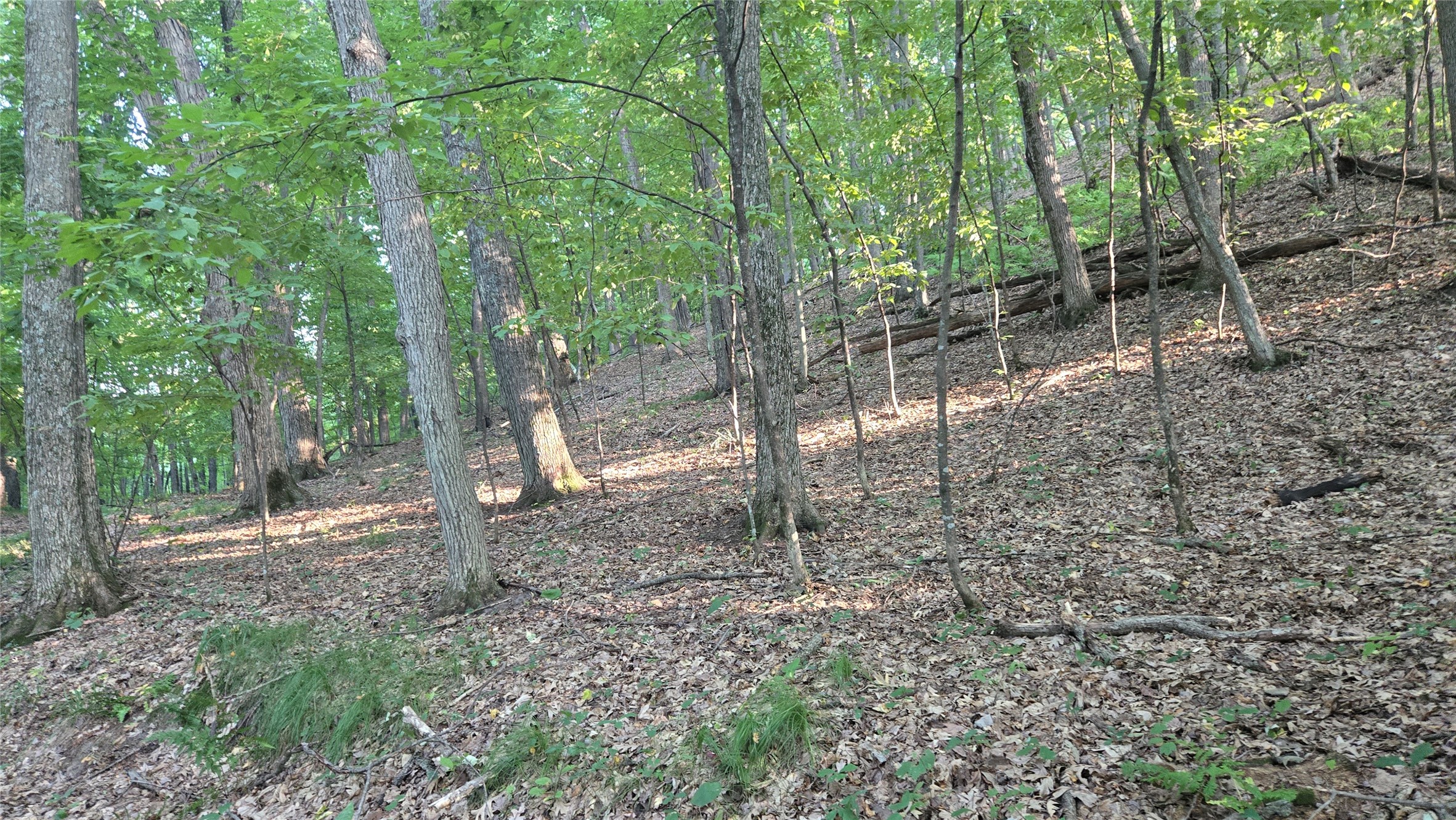 E01 State Hwy 64 Property Photo 8