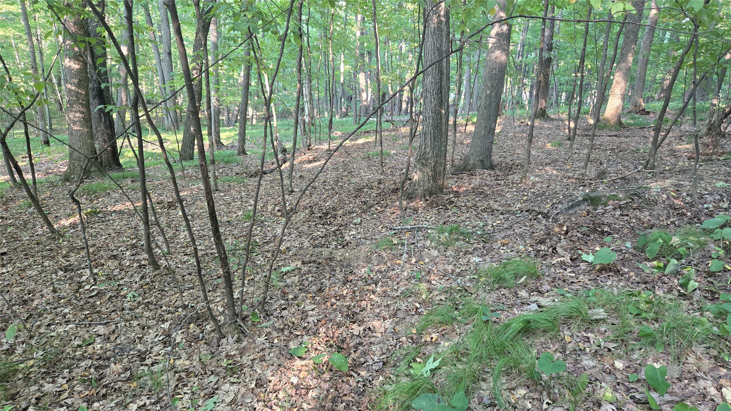 E01 State Hwy 64 Property Photo 9