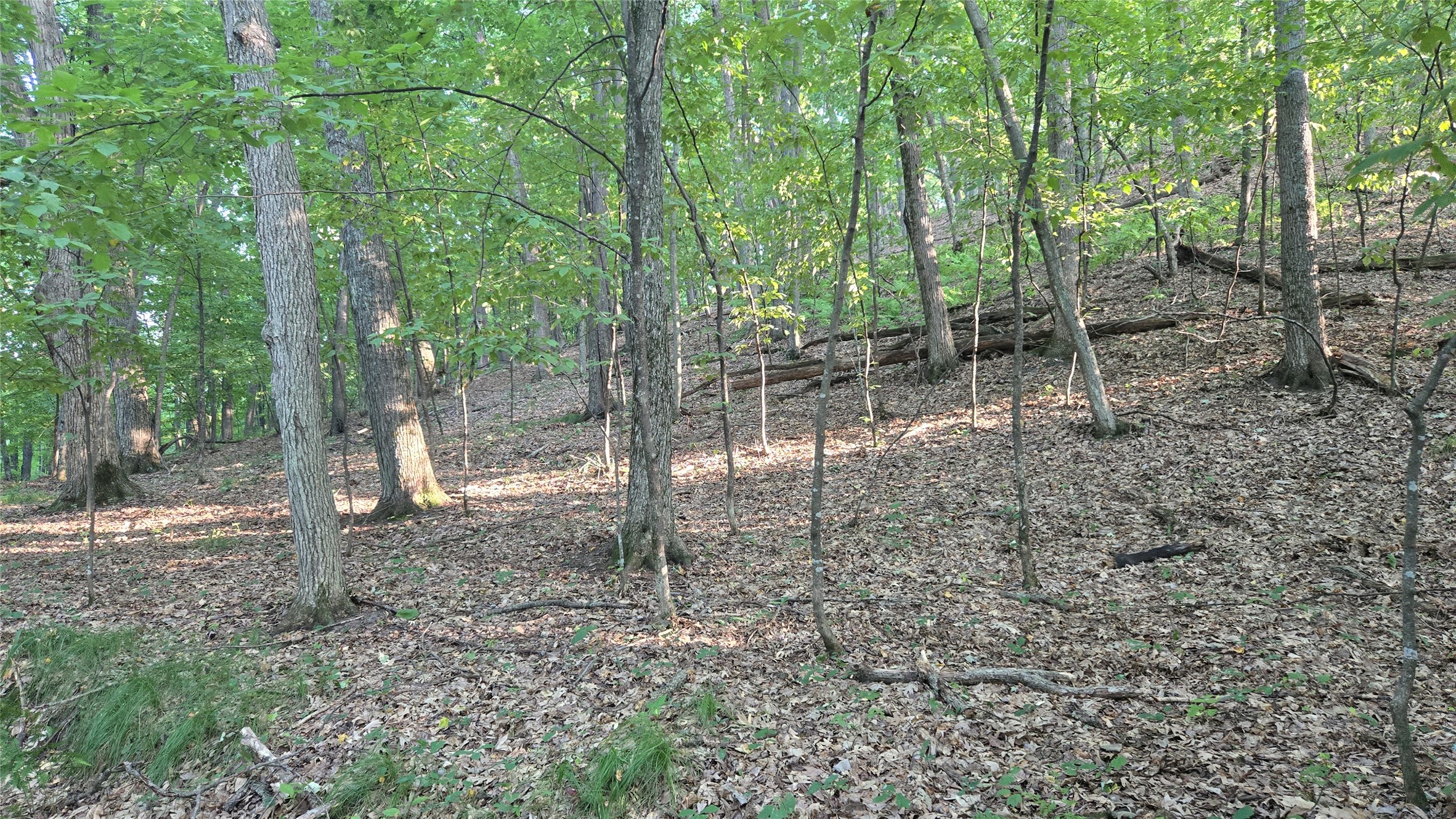 E01 State Hwy 64 Property Photo 11