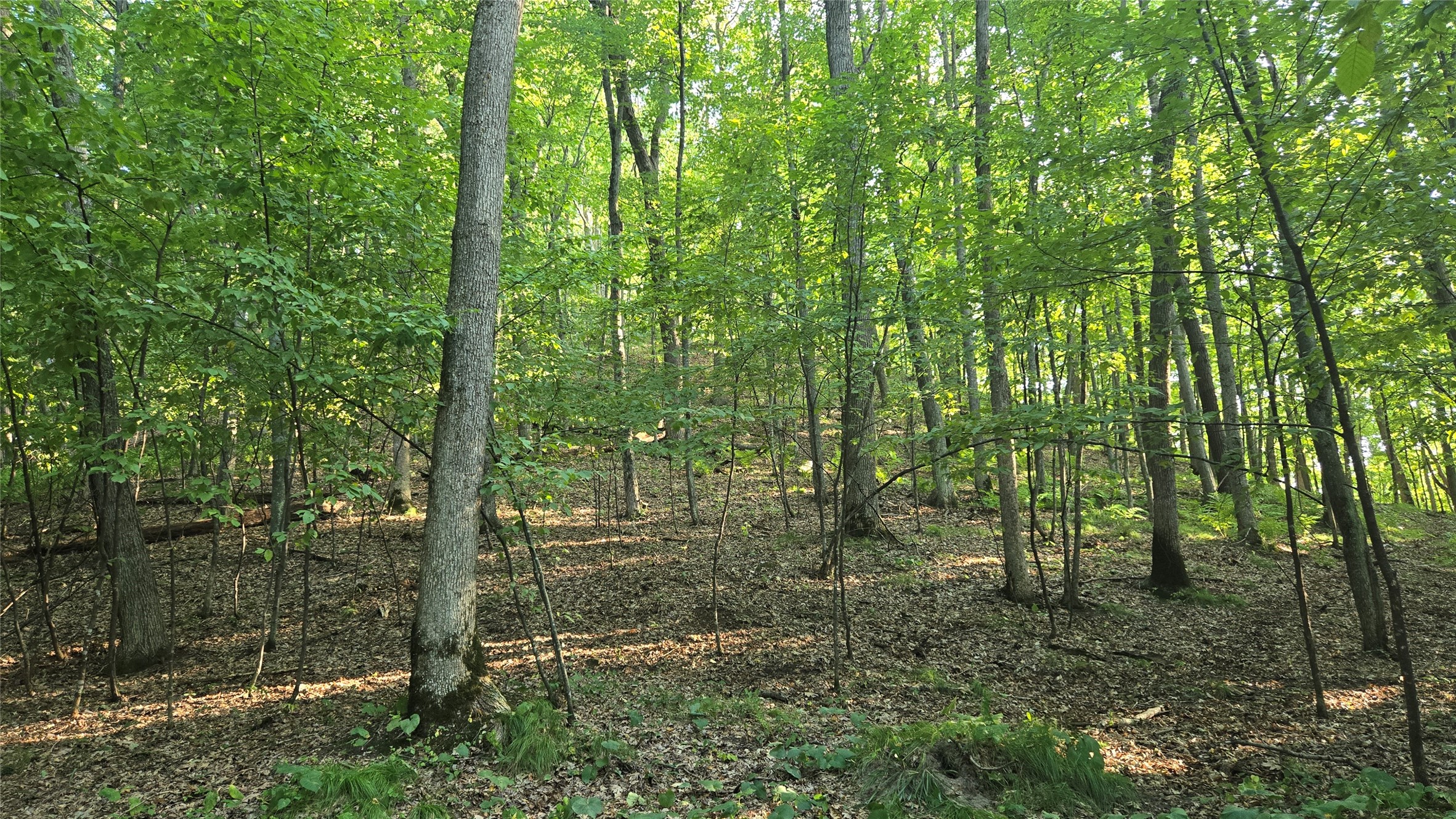 E01 State Hwy 64 Property Photo 12