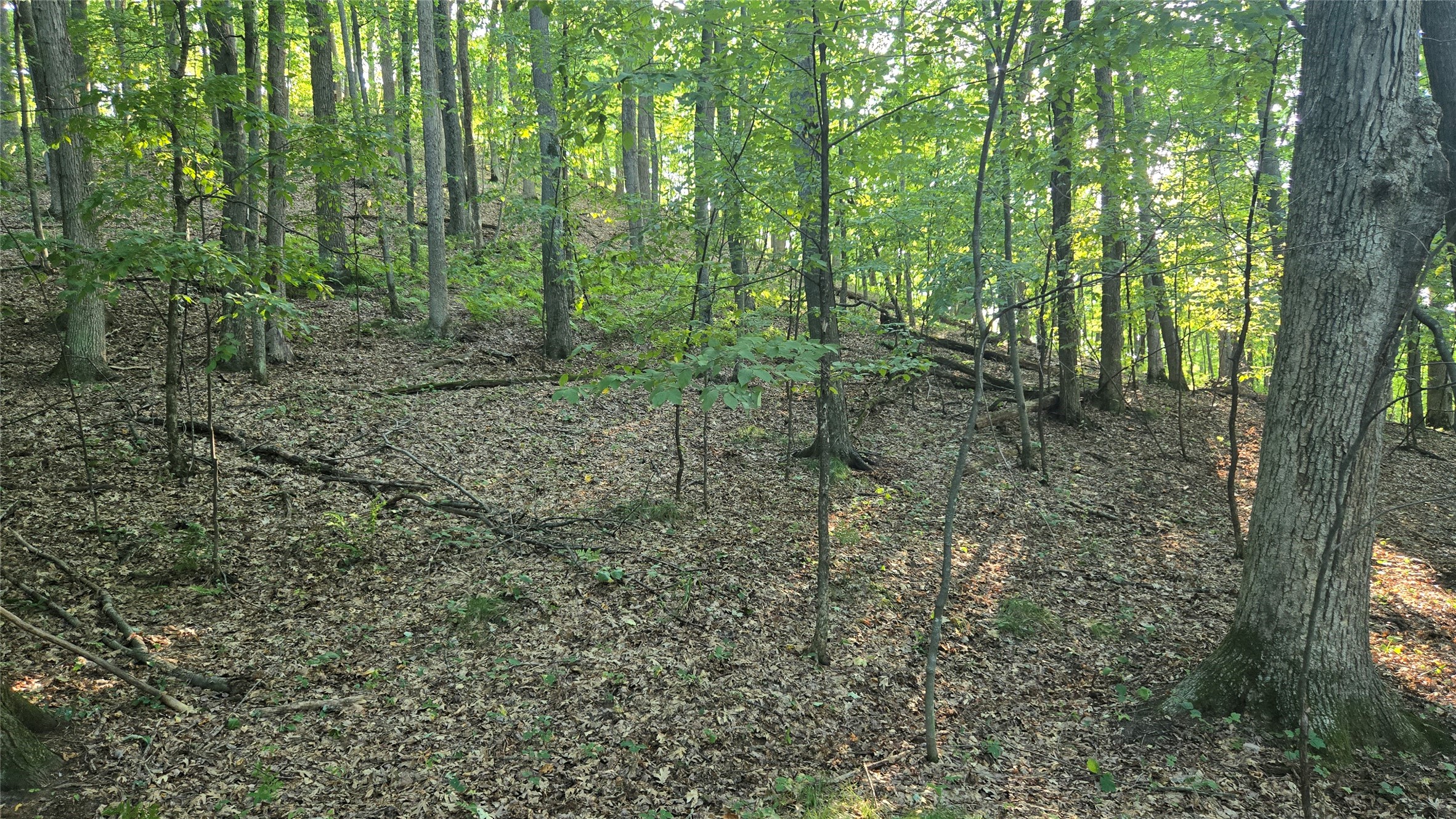 E01 State Hwy 64 Property Photo 14