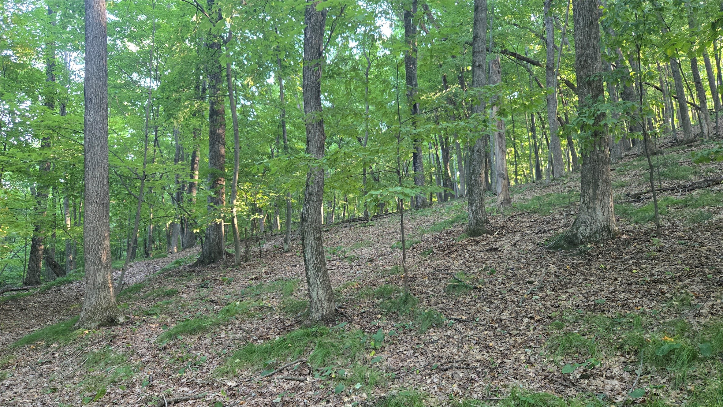 E01 State Hwy 64 Property Photo 15
