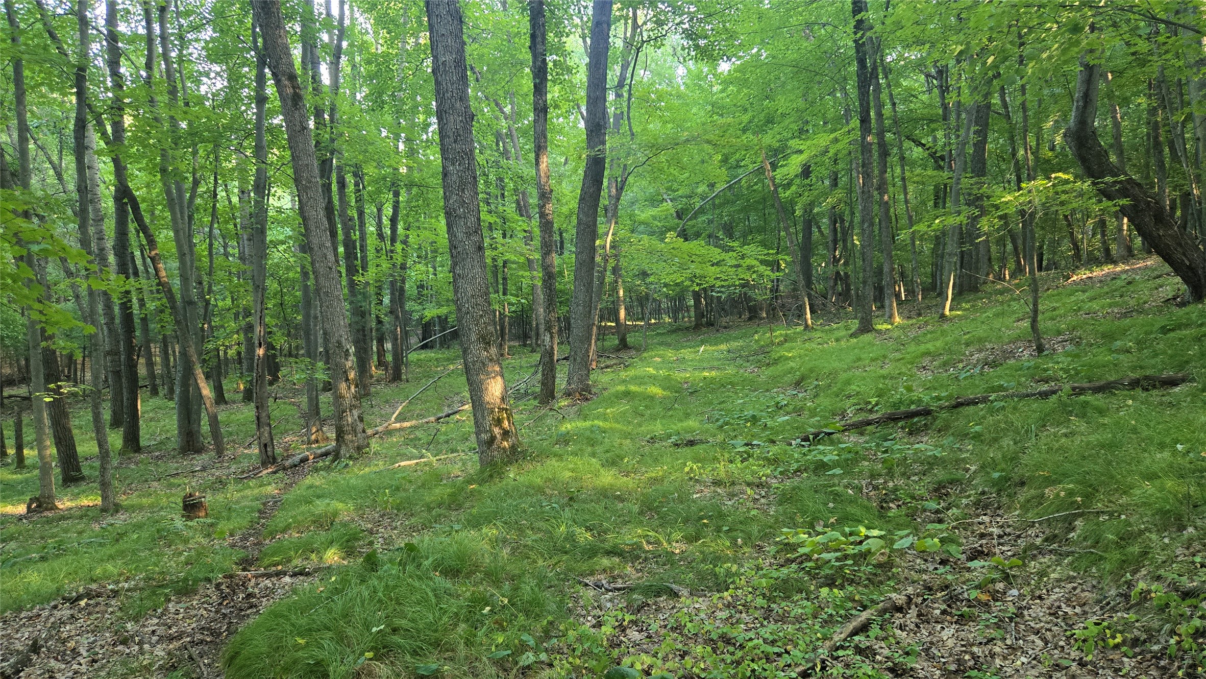 E01 State Hwy 64 Property Photo 16