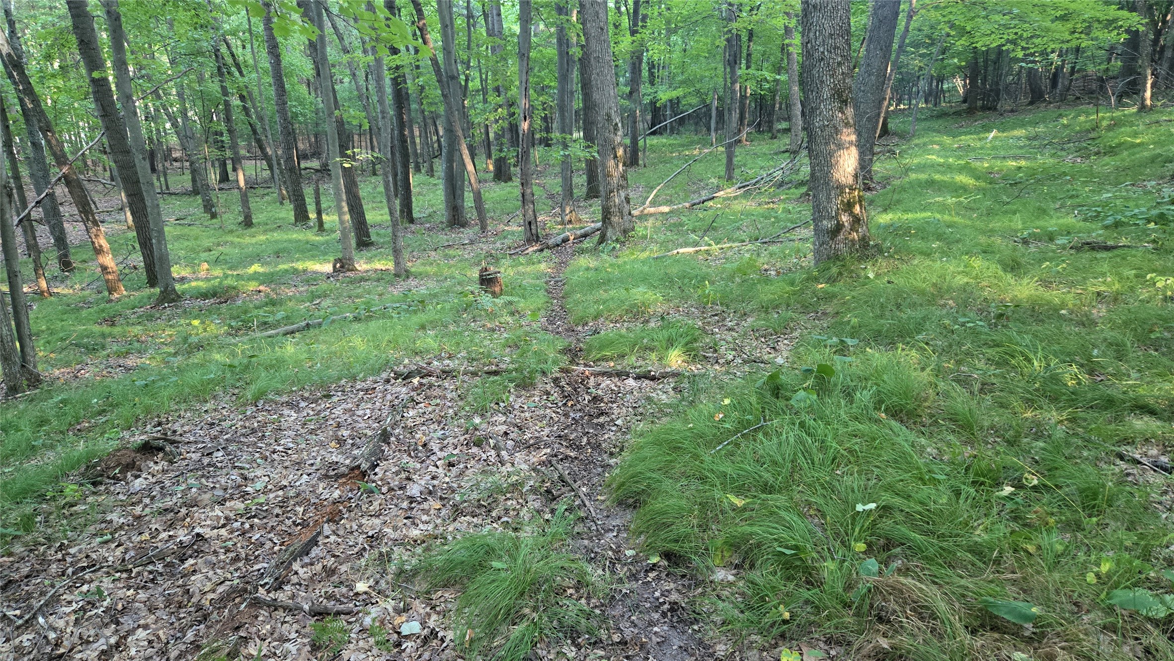 E01 State Hwy 64 Property Photo 17