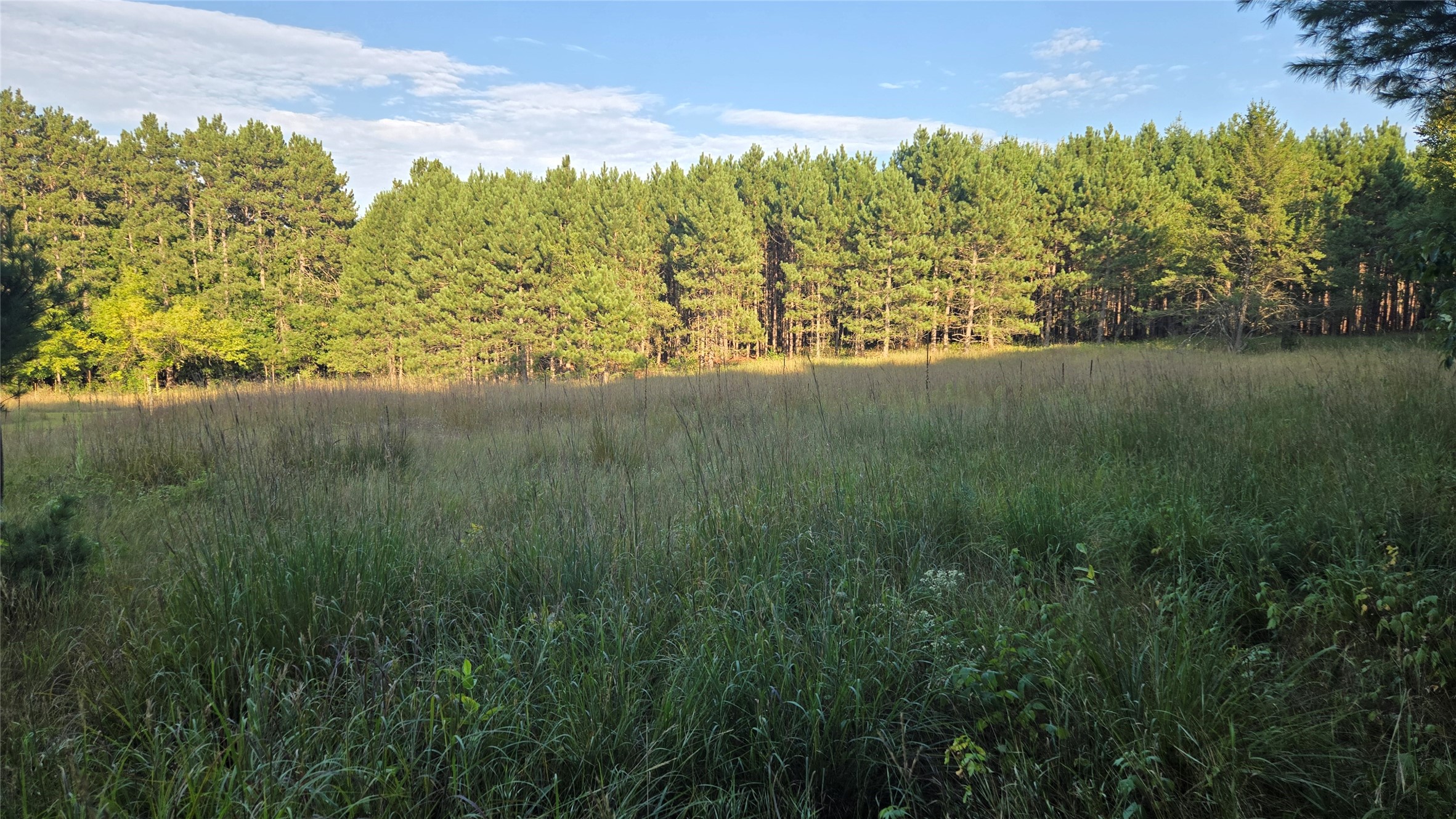 E01 State Hwy 64 Property Photo 18