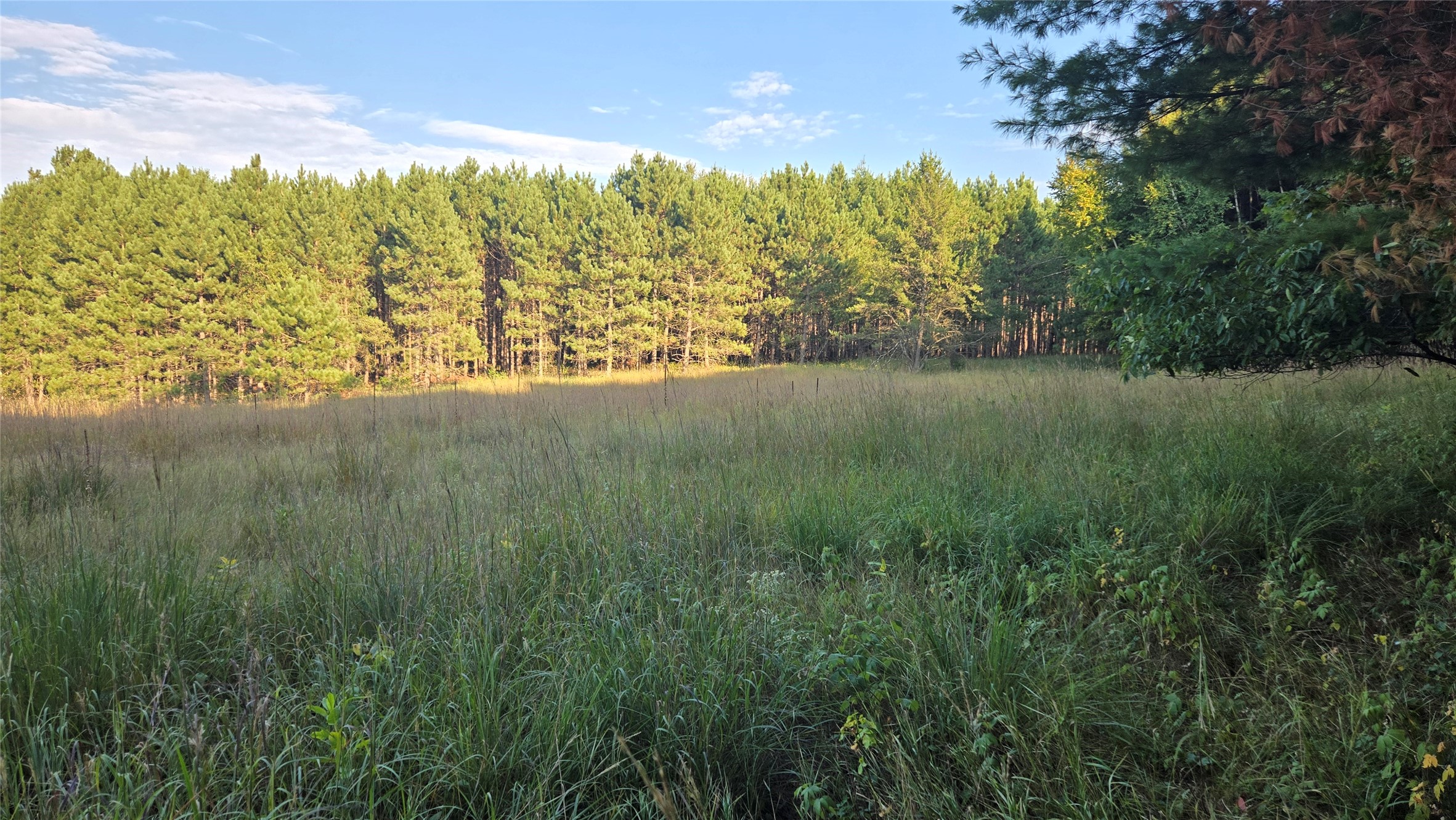E01 State Hwy 64 Property Photo 19
