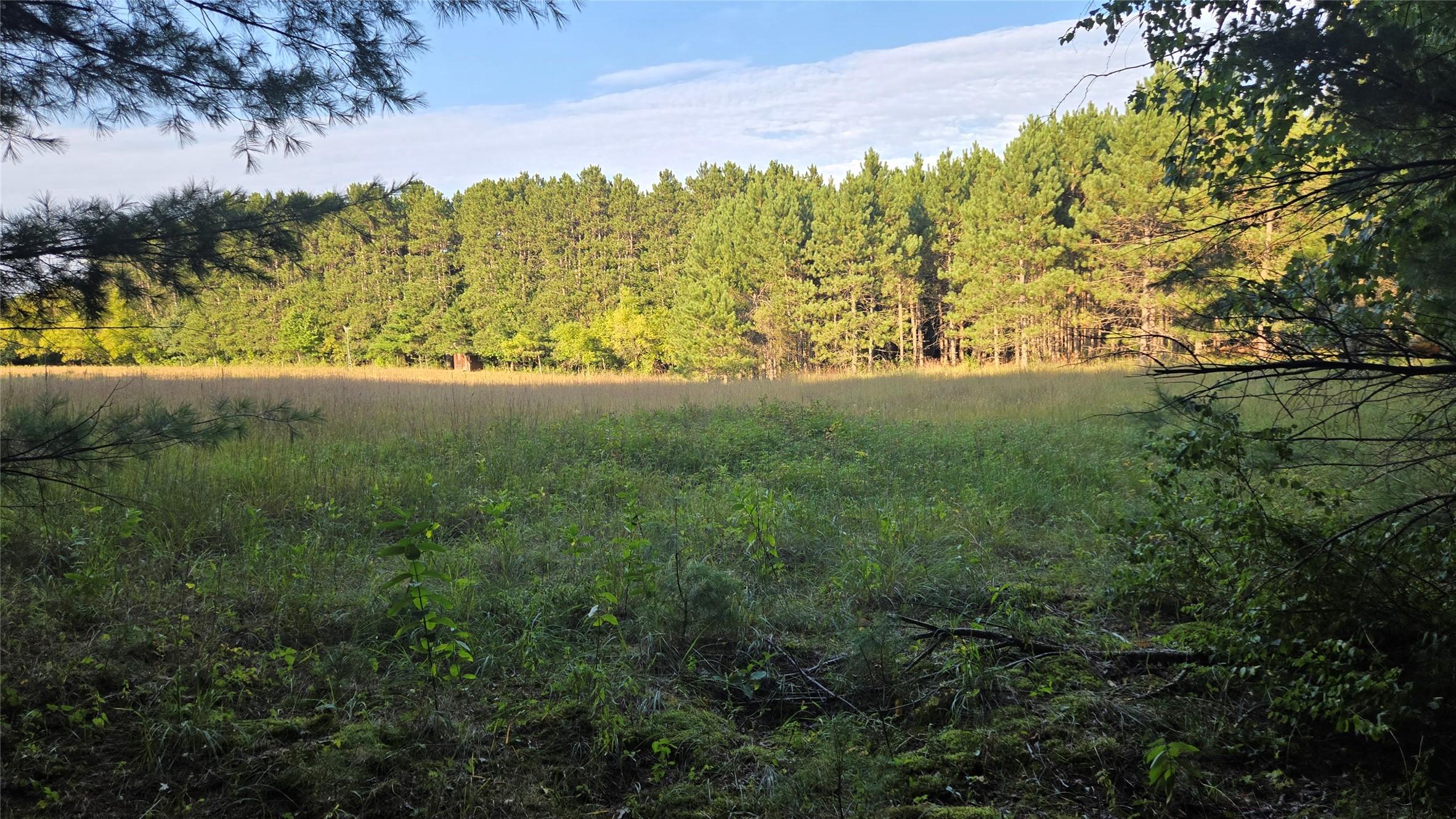 E01 State Hwy 64 Property Photo 21