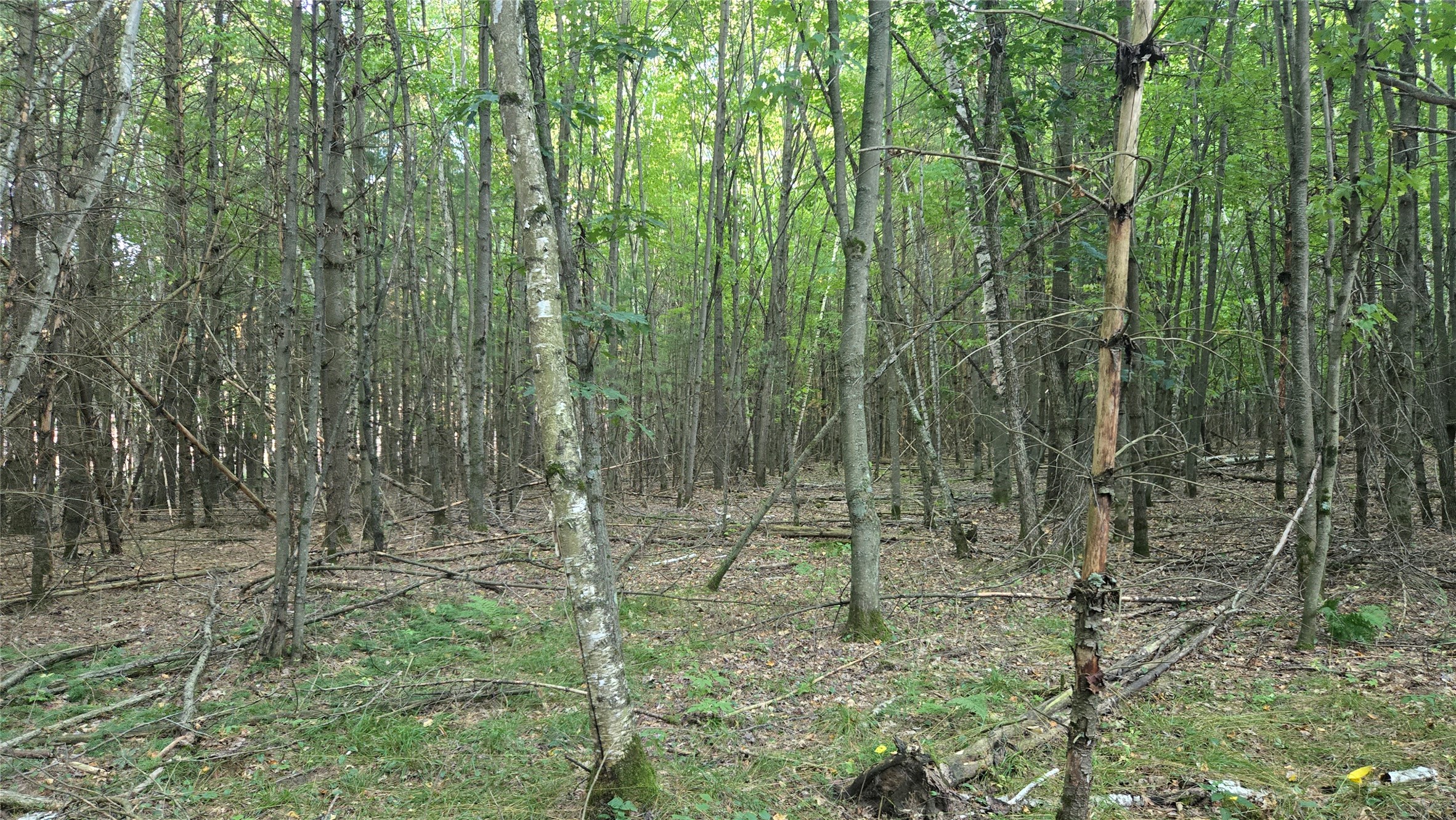 E01 State Hwy 64 Property Photo 22