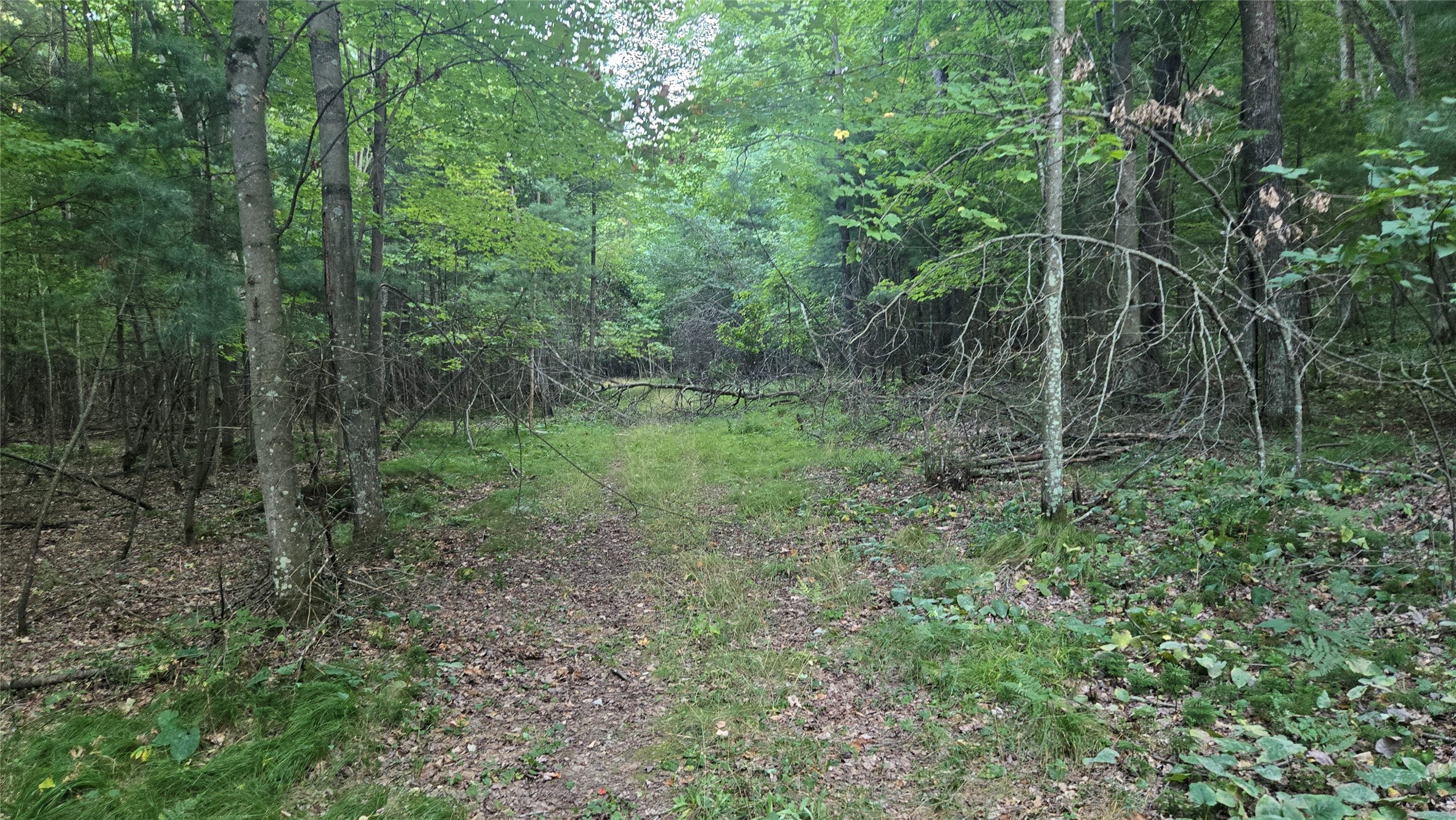 E01 State Hwy 64 Property Photo 23