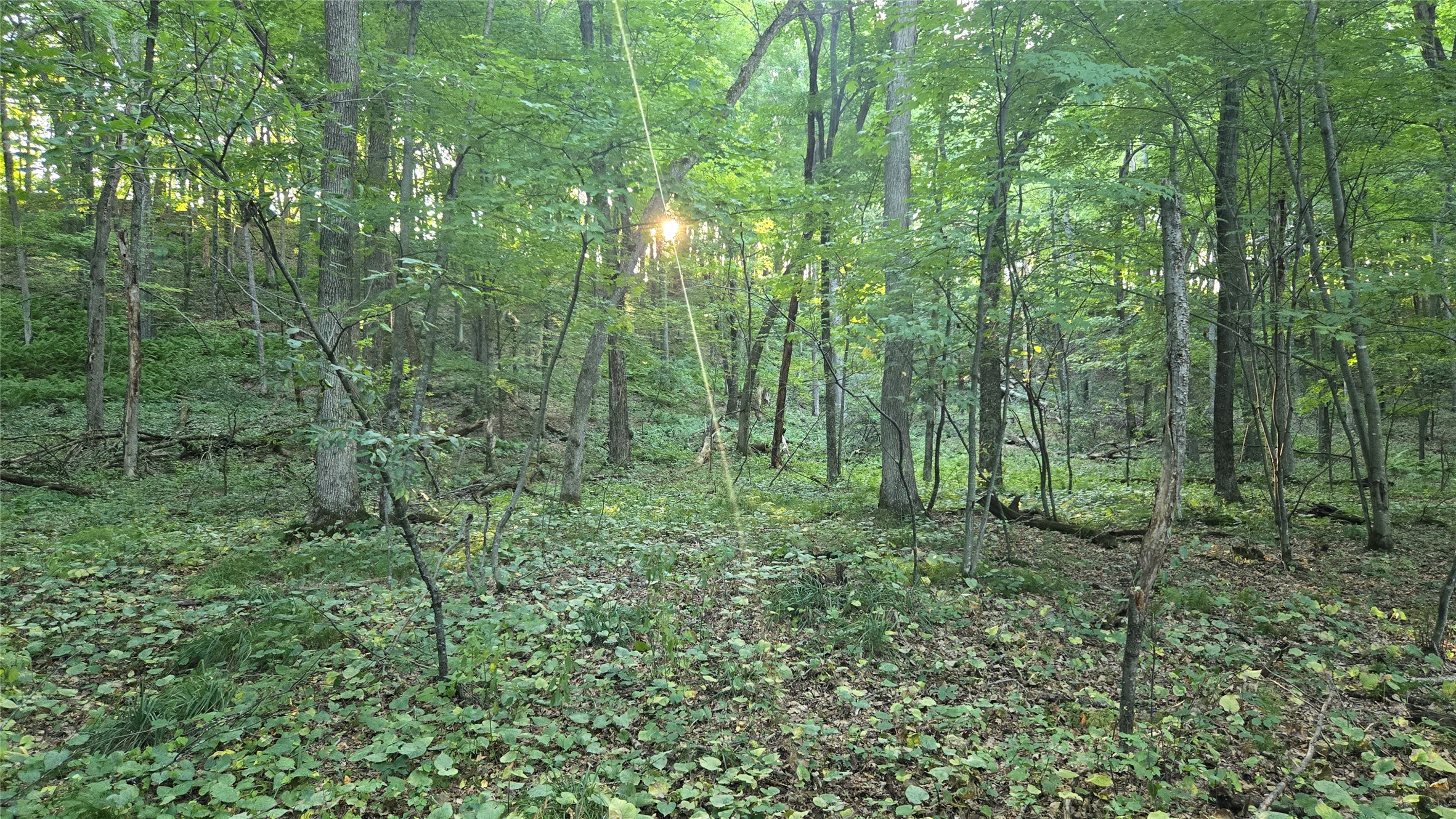 E01 State Hwy 64 Property Photo 24