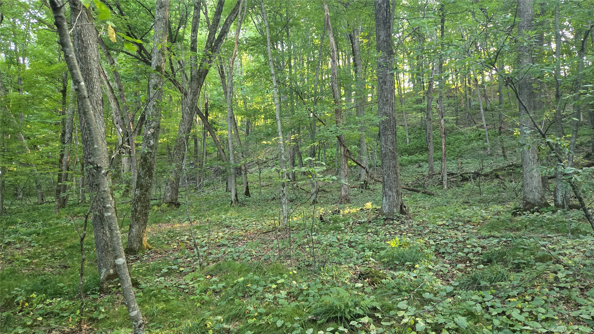 E01 State Hwy 64 Property Photo 25