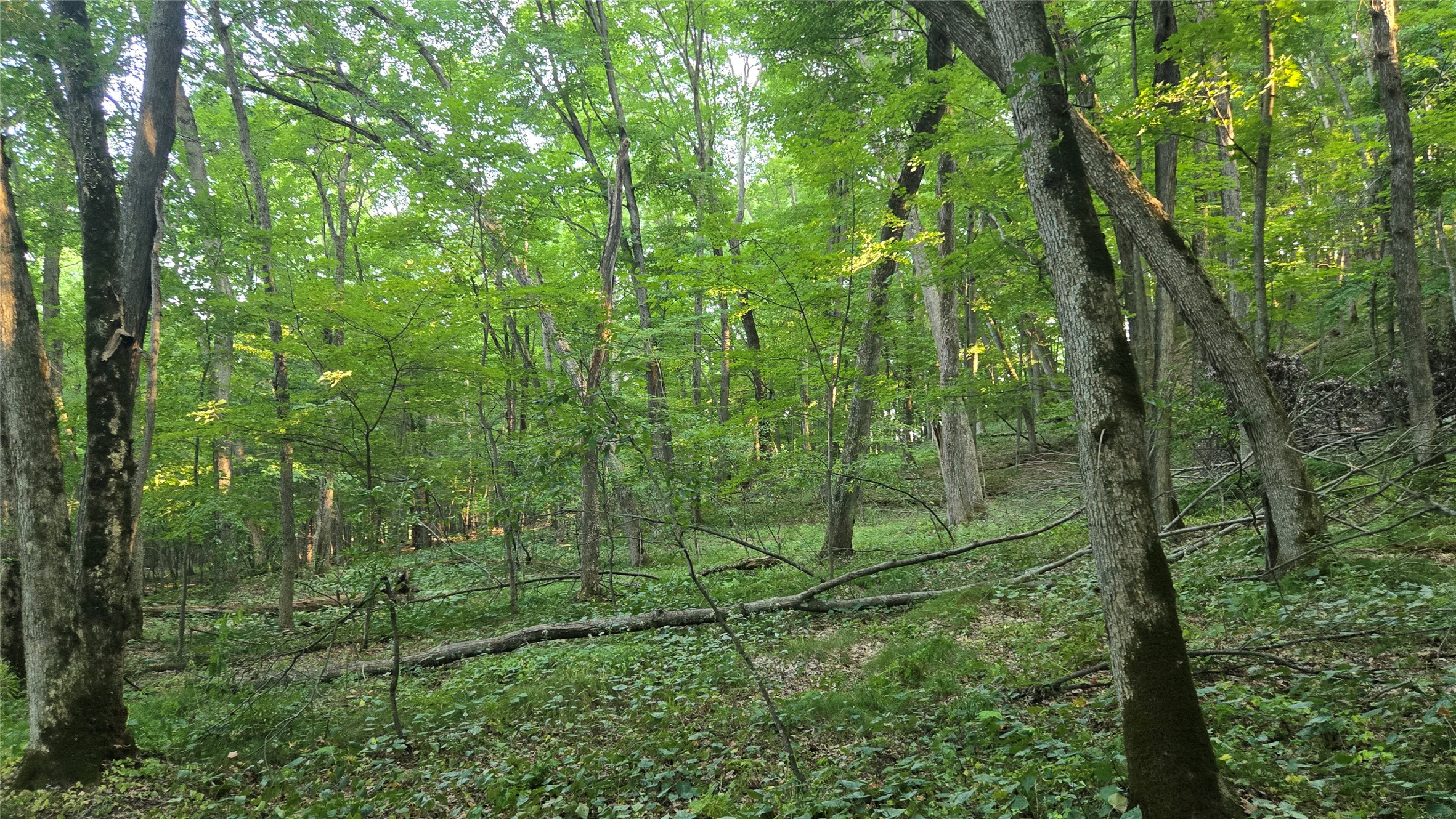 E01 State Hwy 64 Property Photo 27