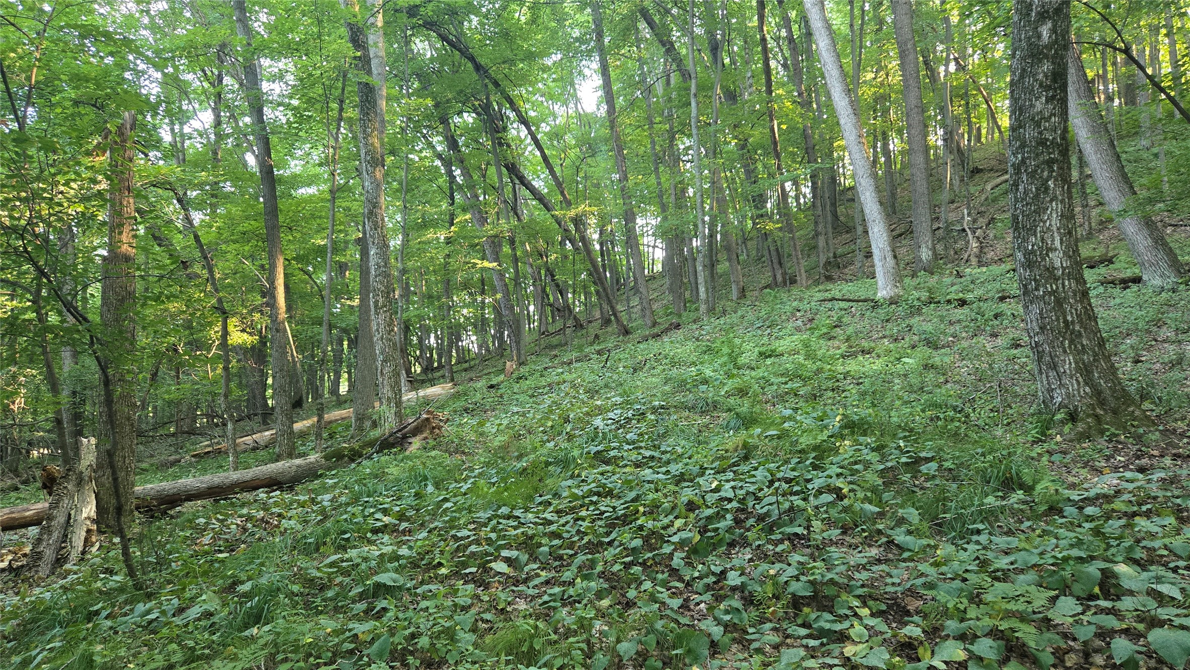 E01 State Hwy 64 Property Photo 28