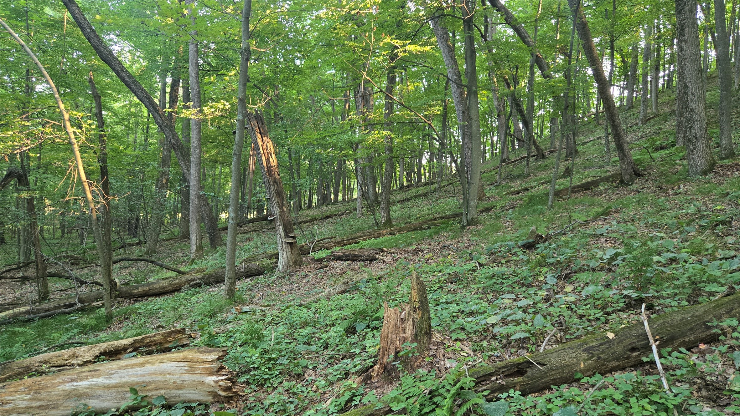 E01 State Hwy 64 Property Photo 29