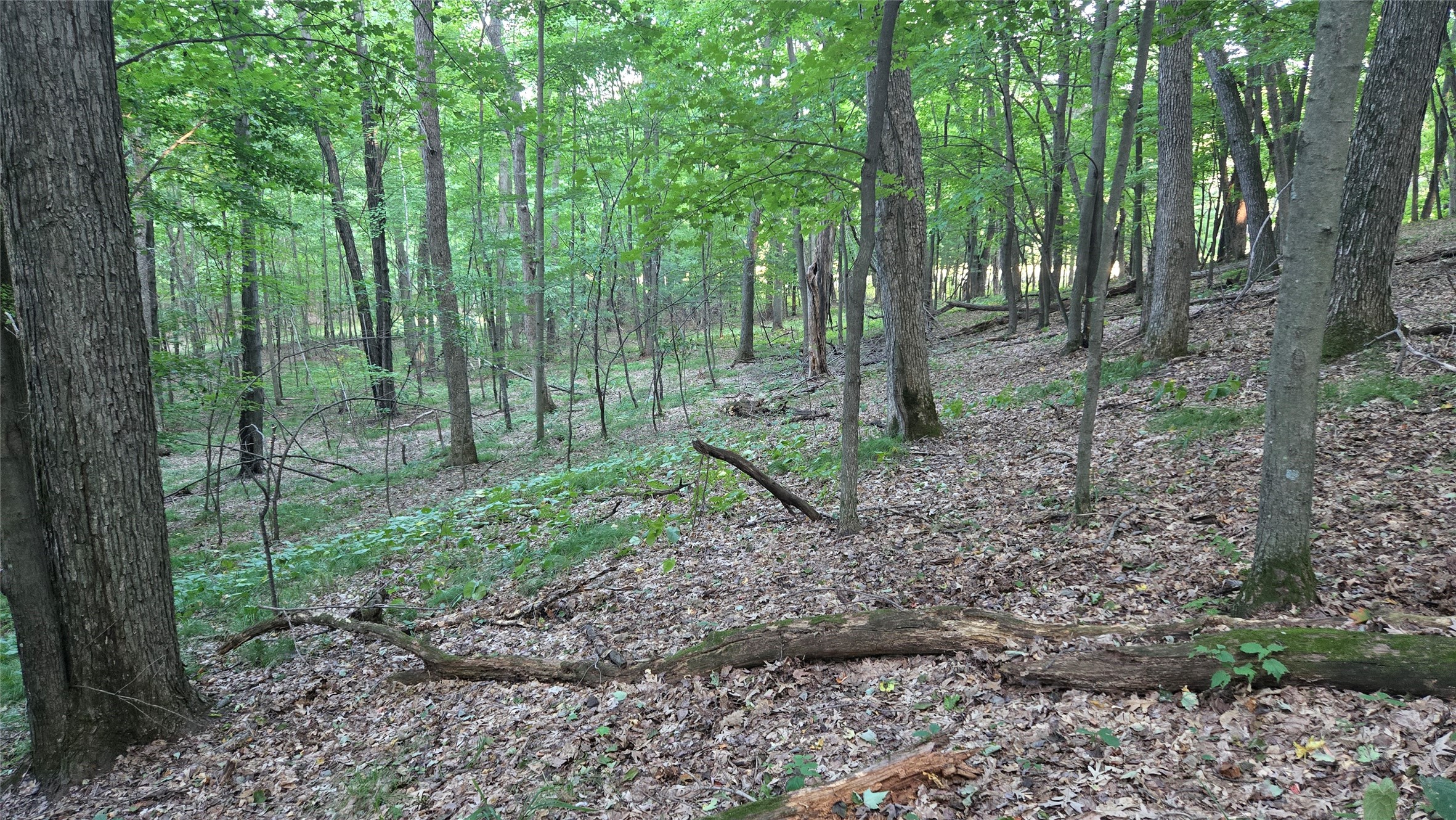 E01 State Hwy 64 Property Photo 30