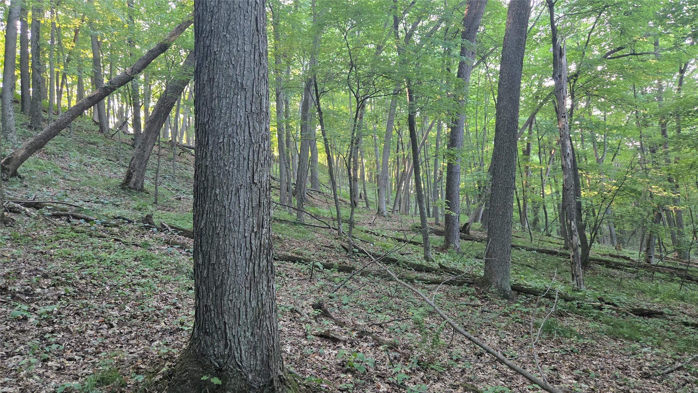 E01 State Hwy 64 Property Photo 32