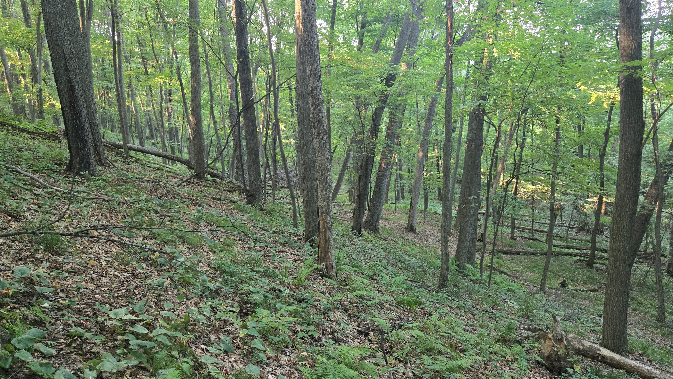 E01 State Hwy 64 Property Photo 33