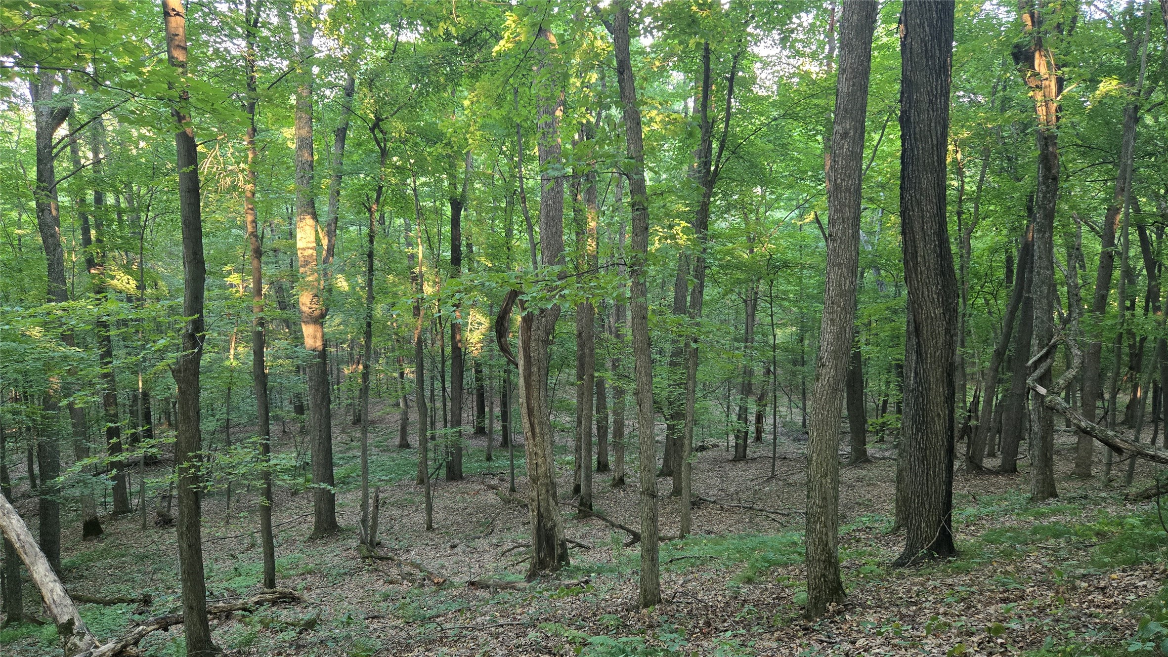 E01 State Hwy 64 Property Photo 34