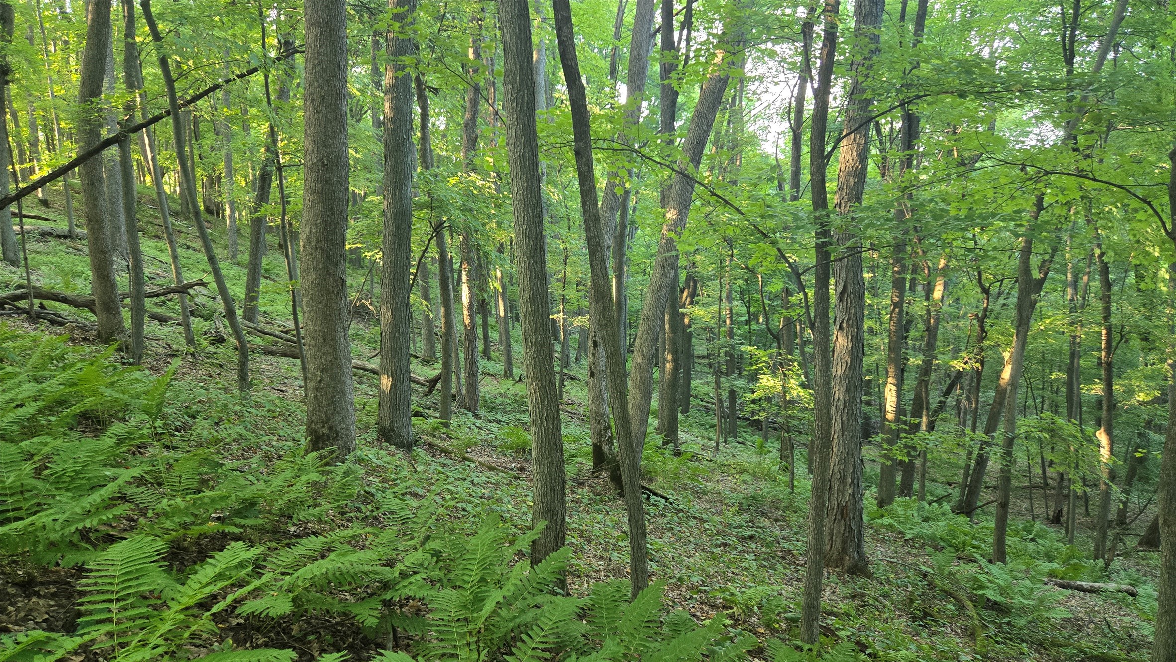 E01 State Hwy 64 Property Photo 35