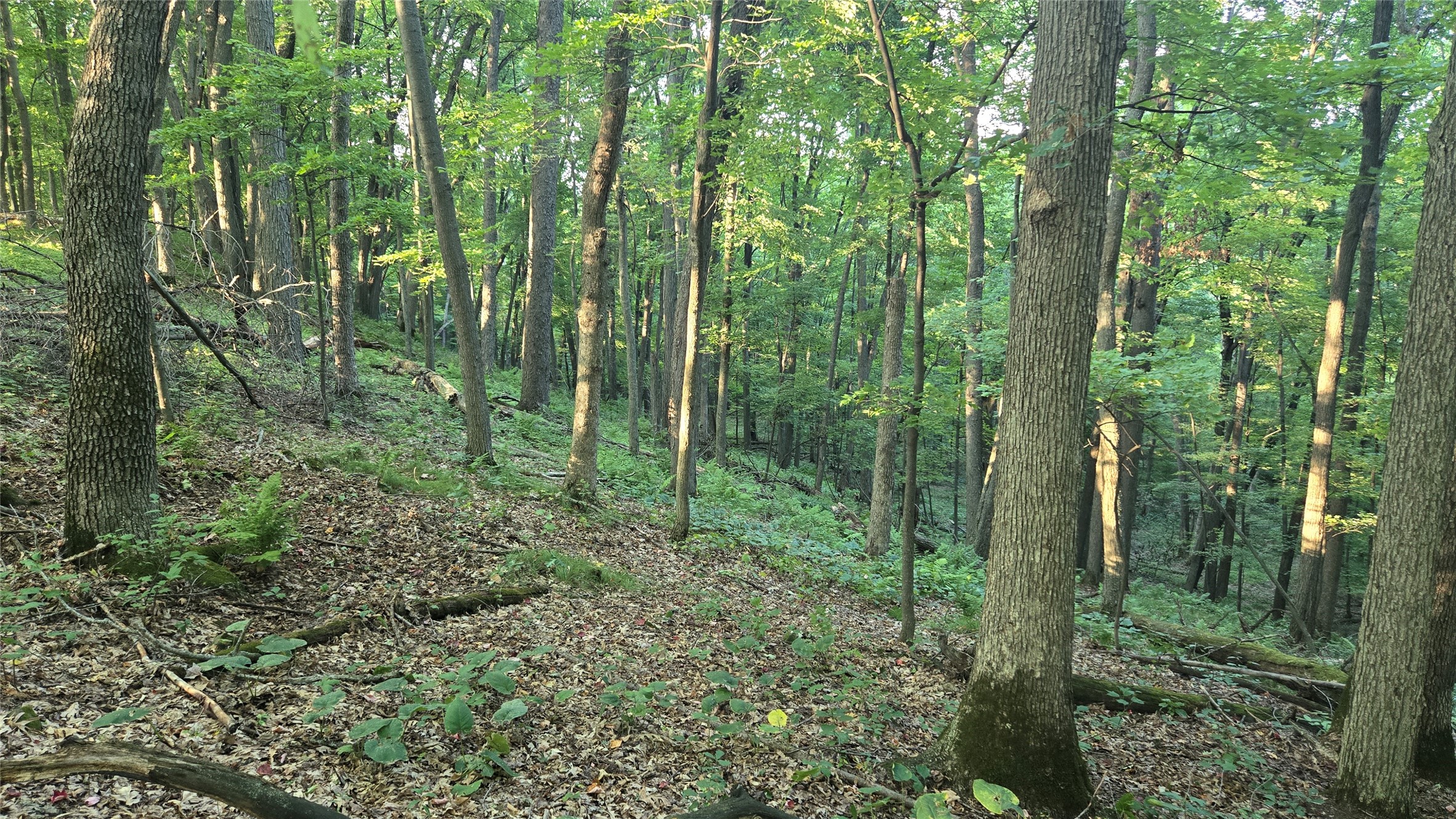 E01 State Hwy 64 Property Photo 37