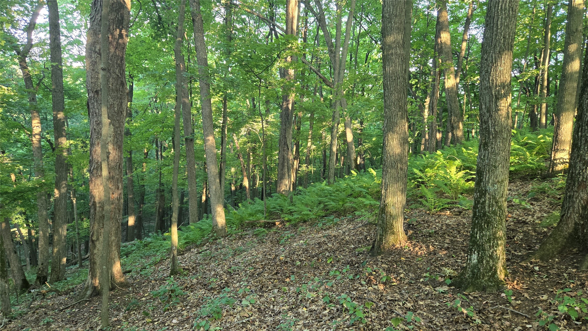 E01 State Hwy 64 Property Photo 38
