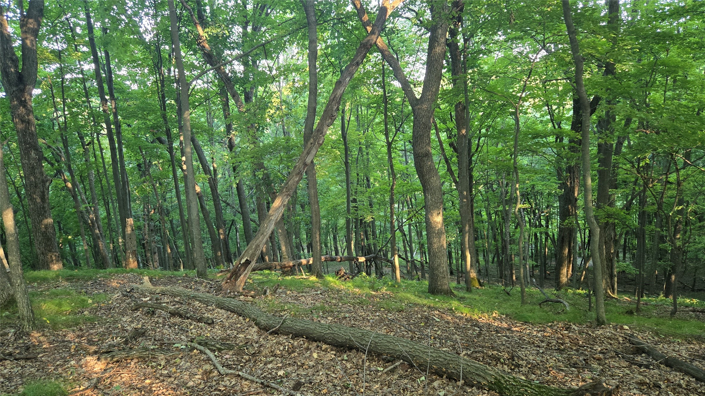 E01 State Hwy 64 Property Photo 42