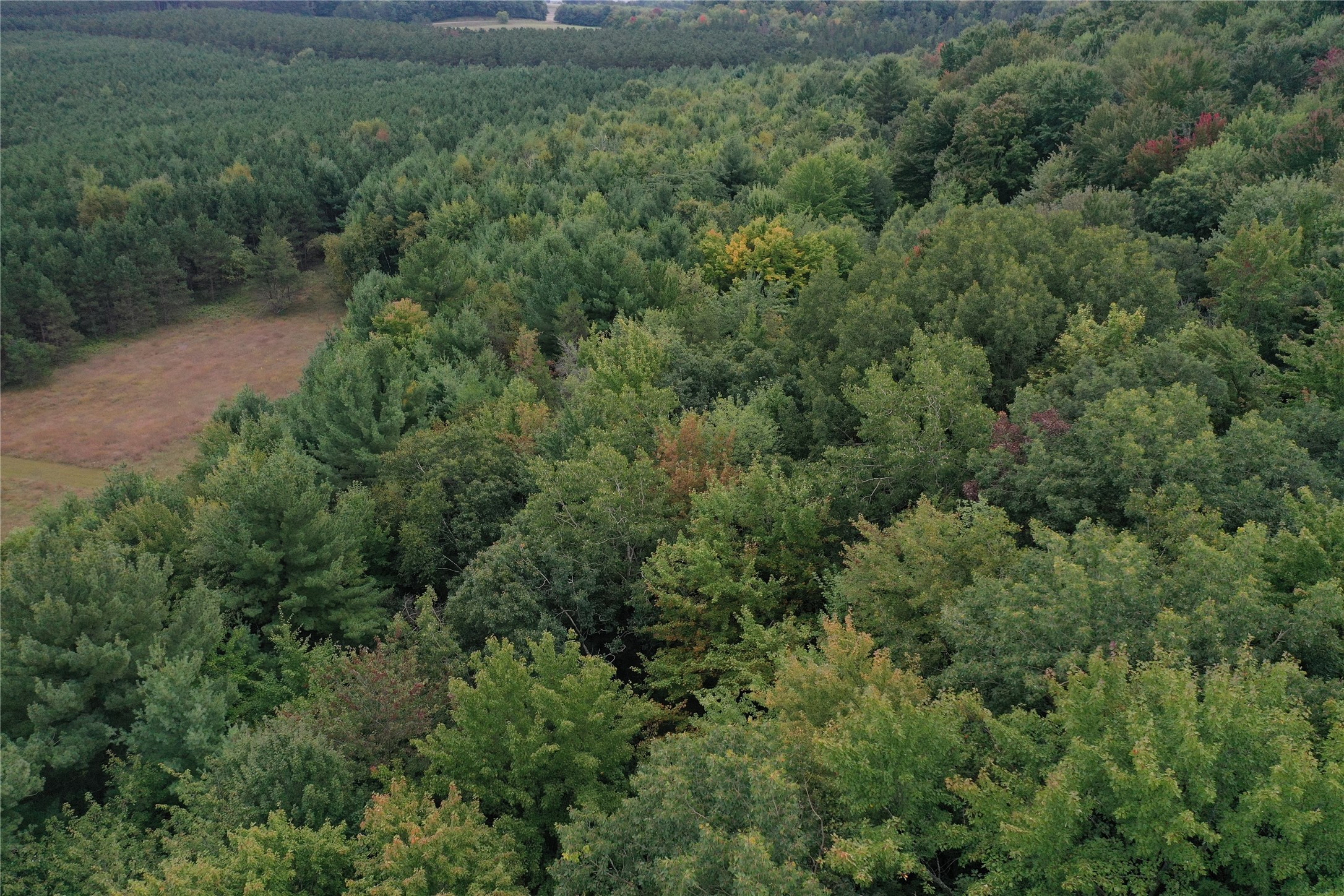 E01 State Hwy 64 Property Photo 51