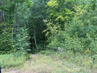 10810n Dachstein Lane Property Photo 3