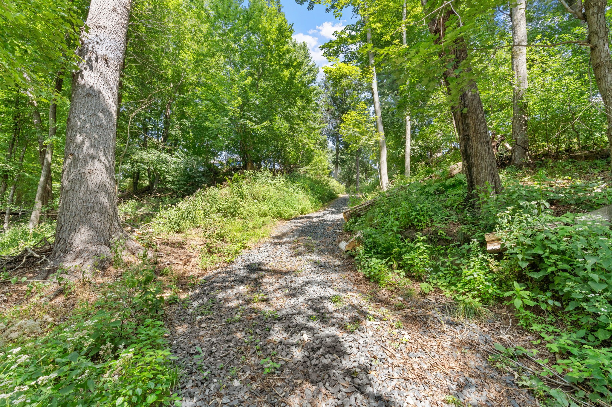 2403 Eagle Ridge Drive Property Photo 36