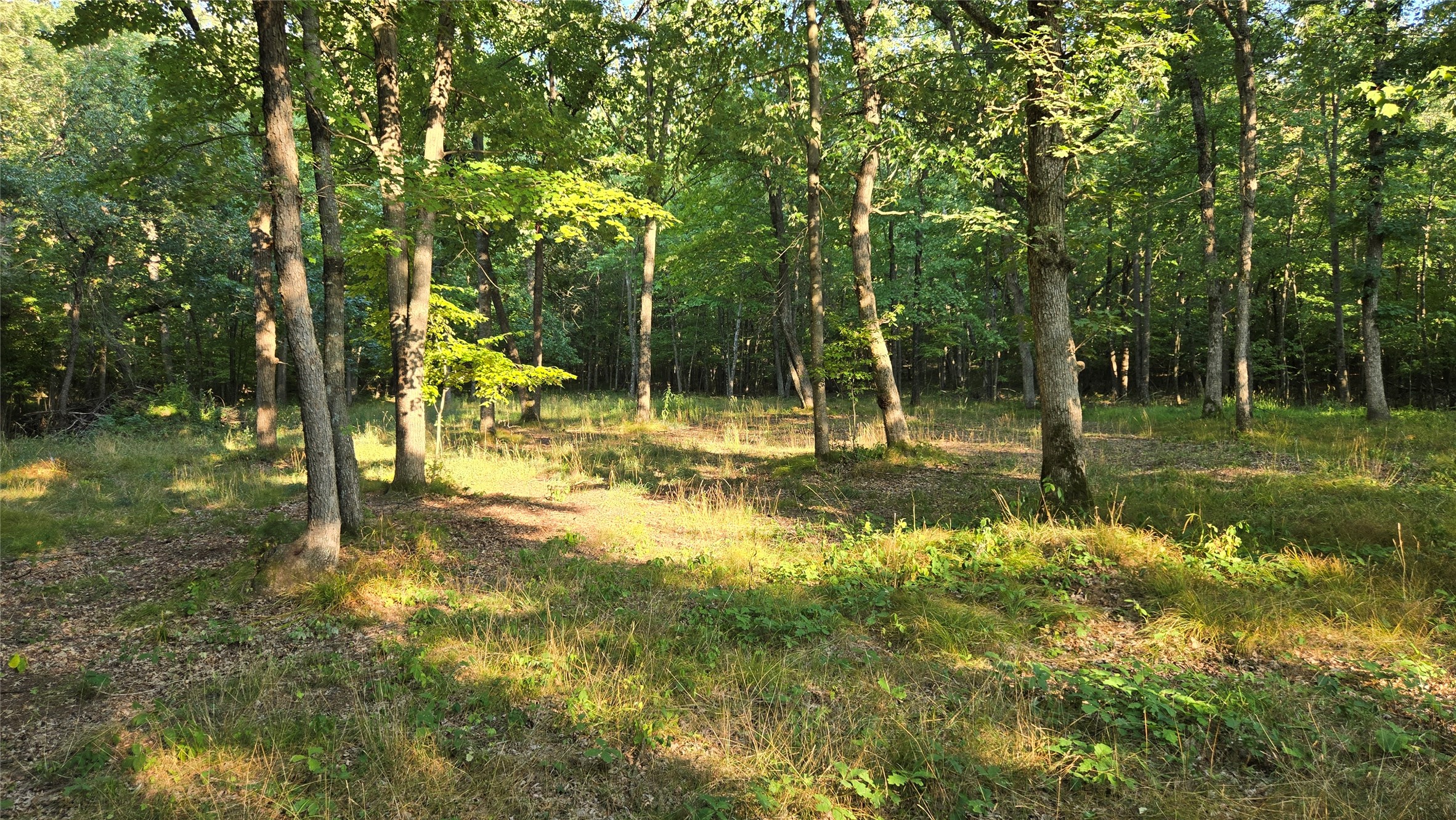 W02 State Highway 64 Property Photo 21
