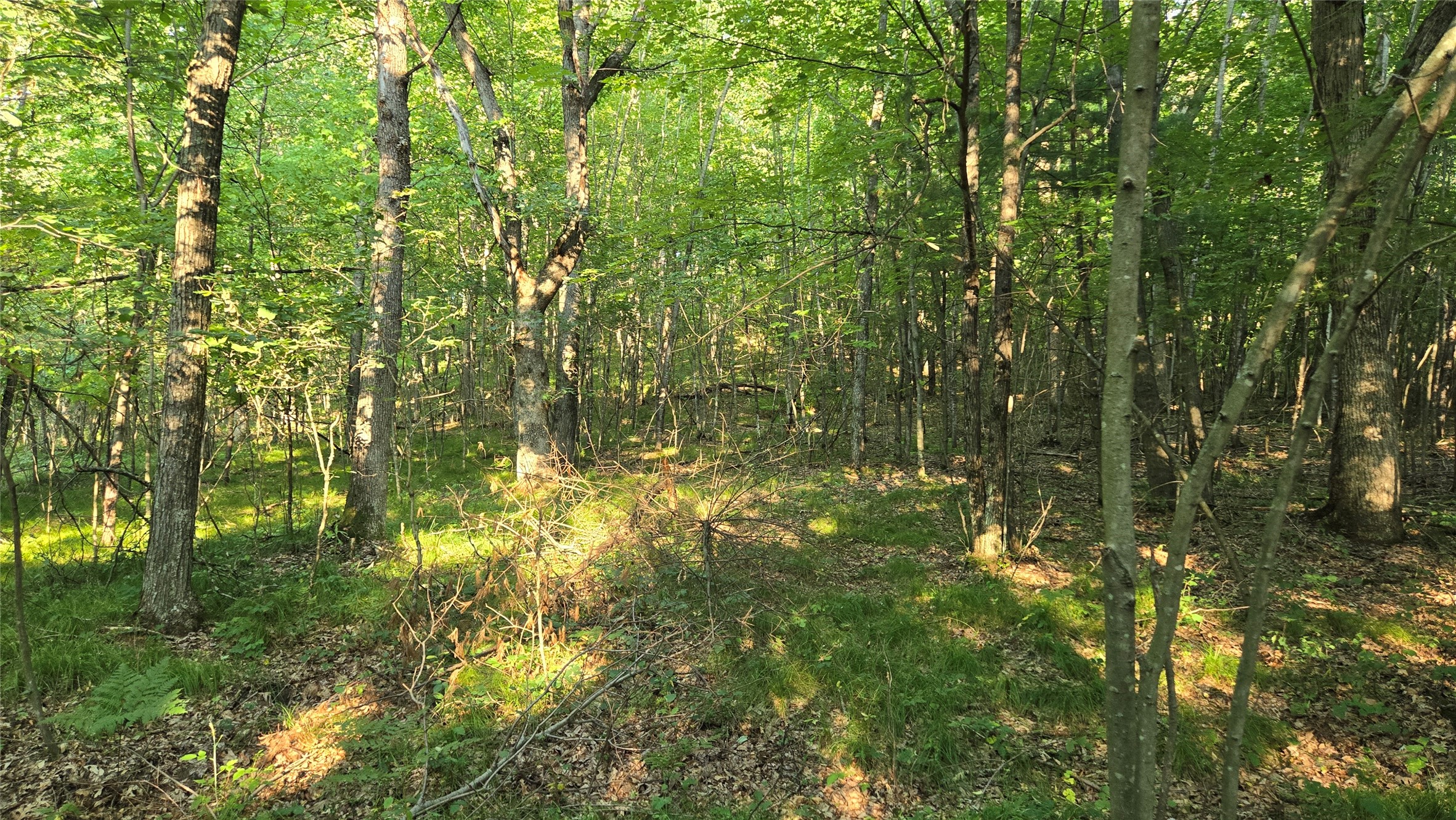 W02 State Highway 64 Property Photo 24