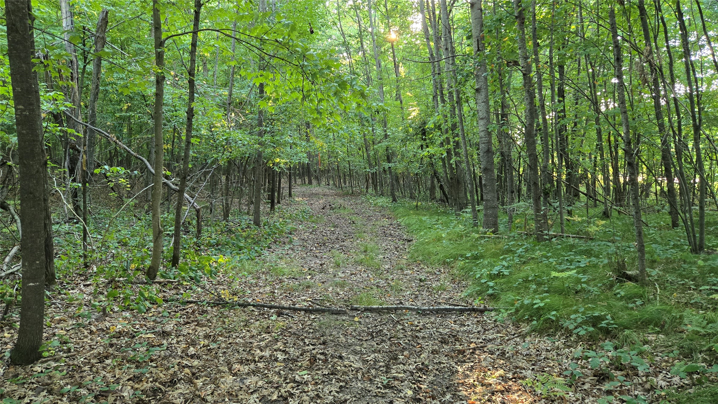 W02 State Highway 64 Property Photo 30