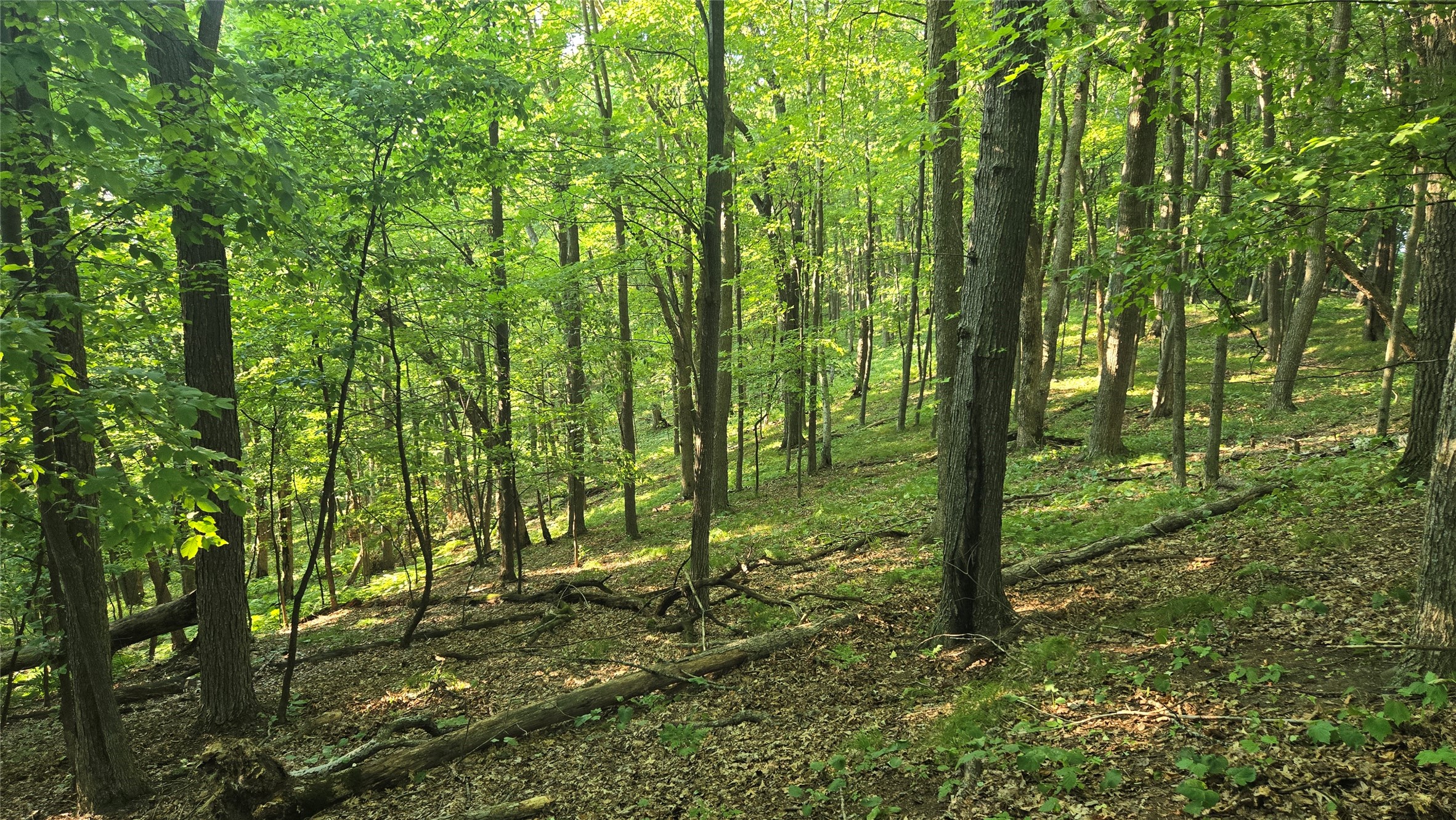 W02 State Hwy 64 Property Photo 2