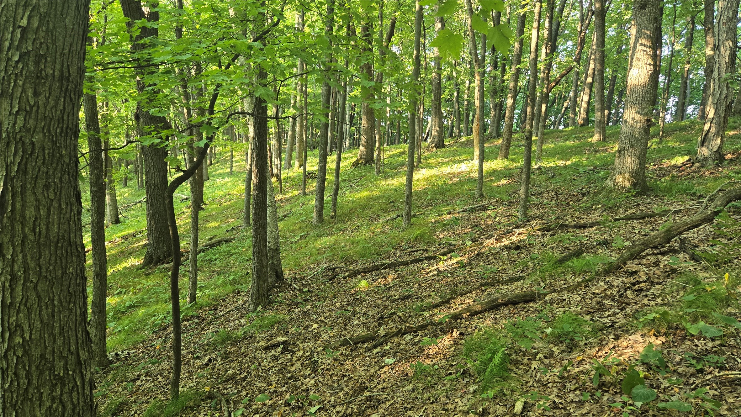 W02 State Hwy 64 Property Photo 4