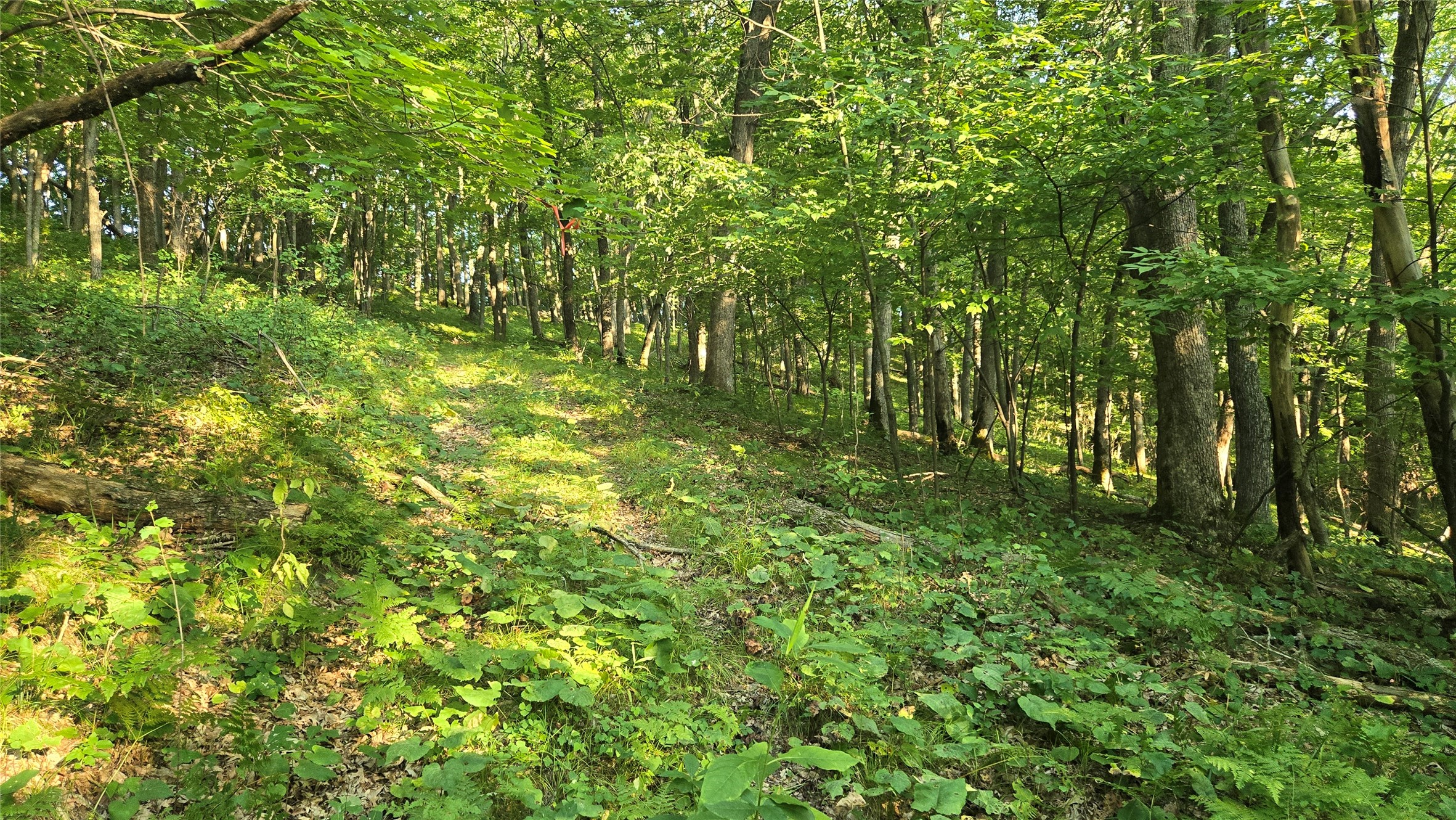 W02 State Hwy 64 Property Photo 12