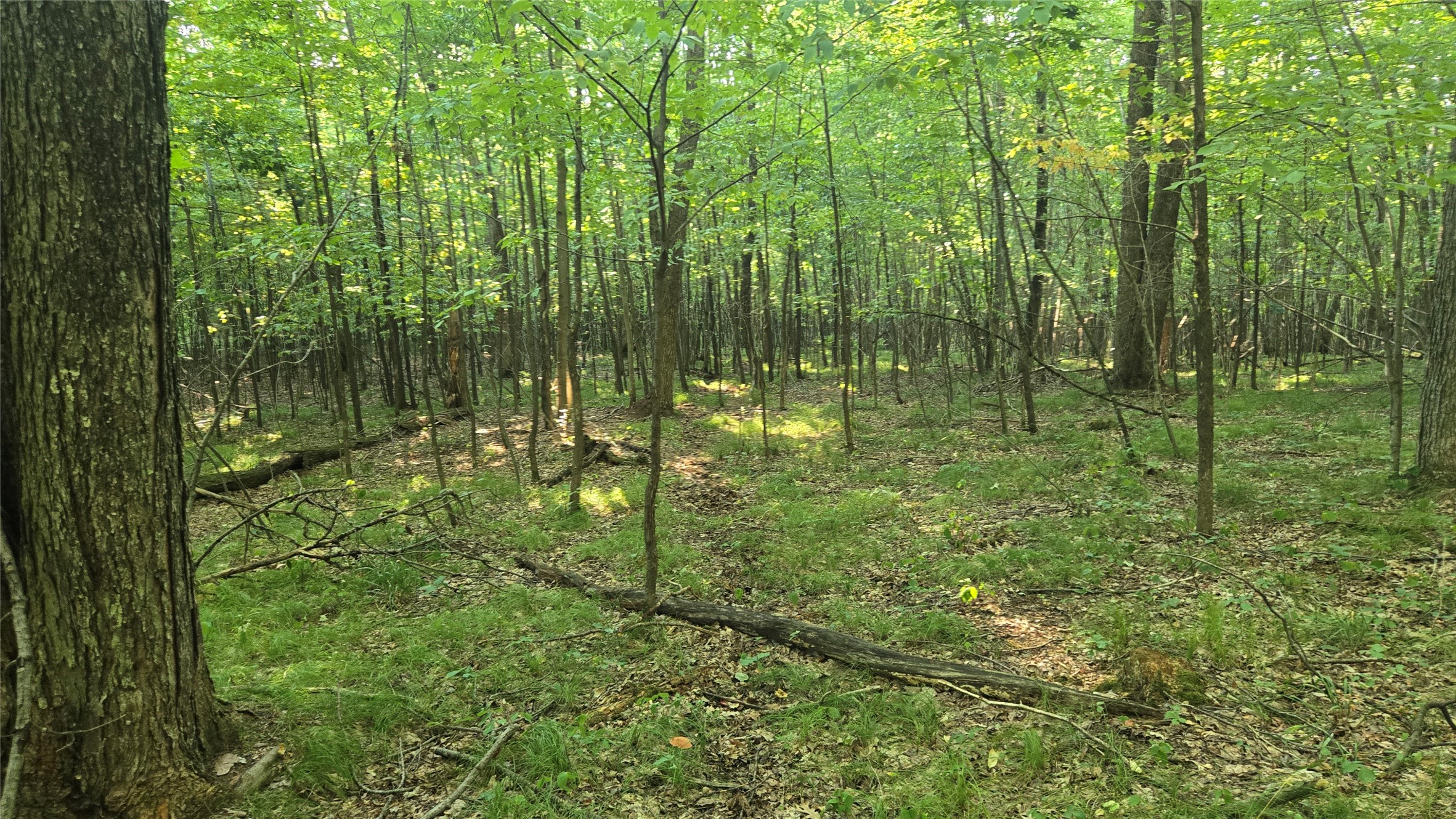W02 State Hwy 64 Property Photo 13