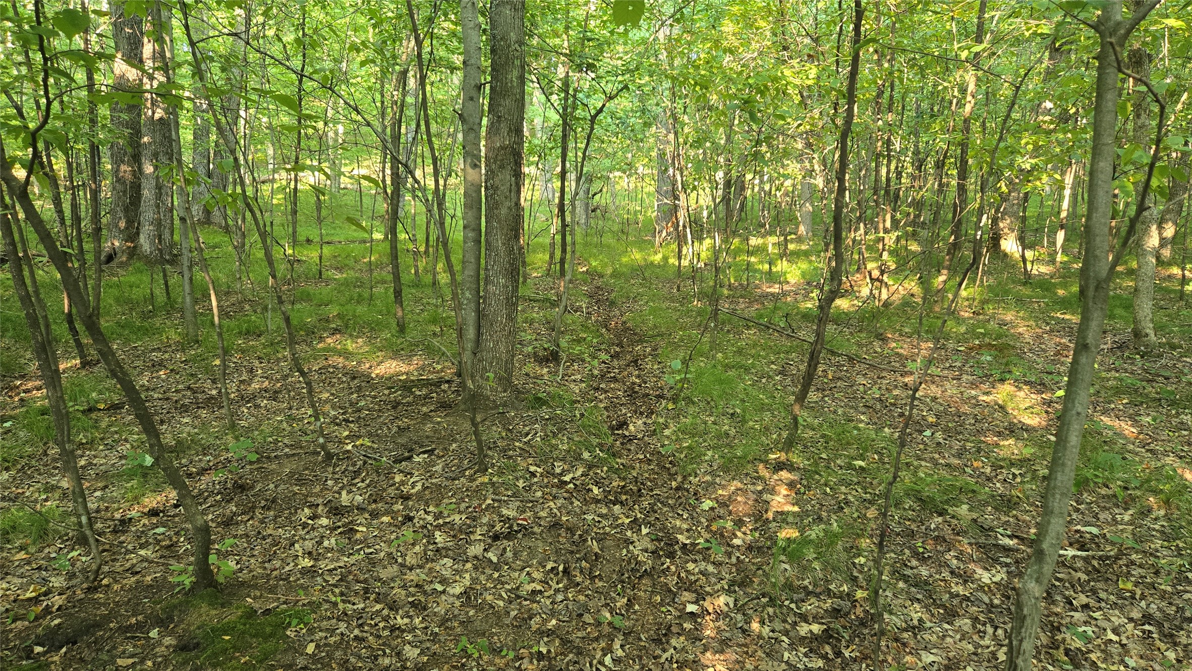W02 State Hwy 64 Property Photo 15