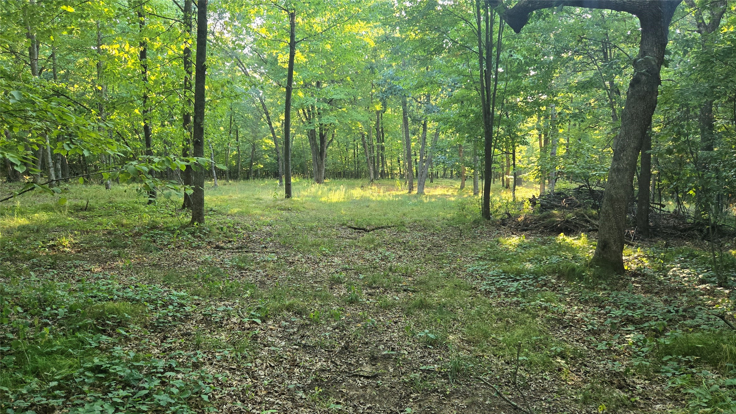 W02 State Hwy 64 Property Photo 16
