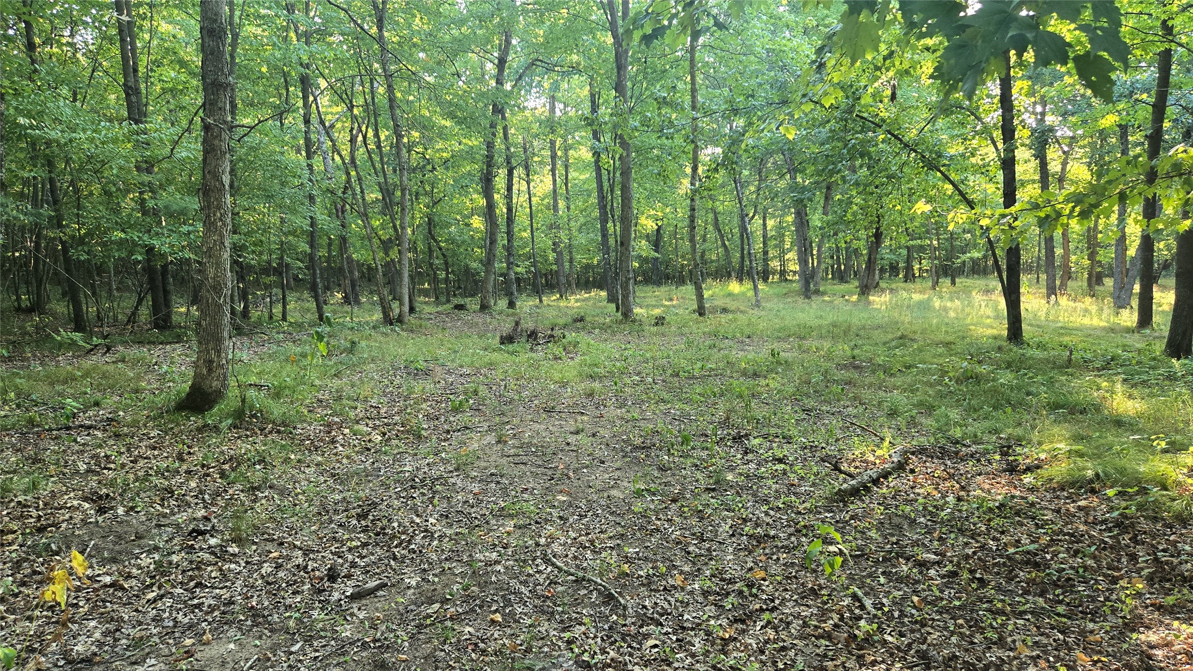 W02 State Hwy 64 Property Photo 17