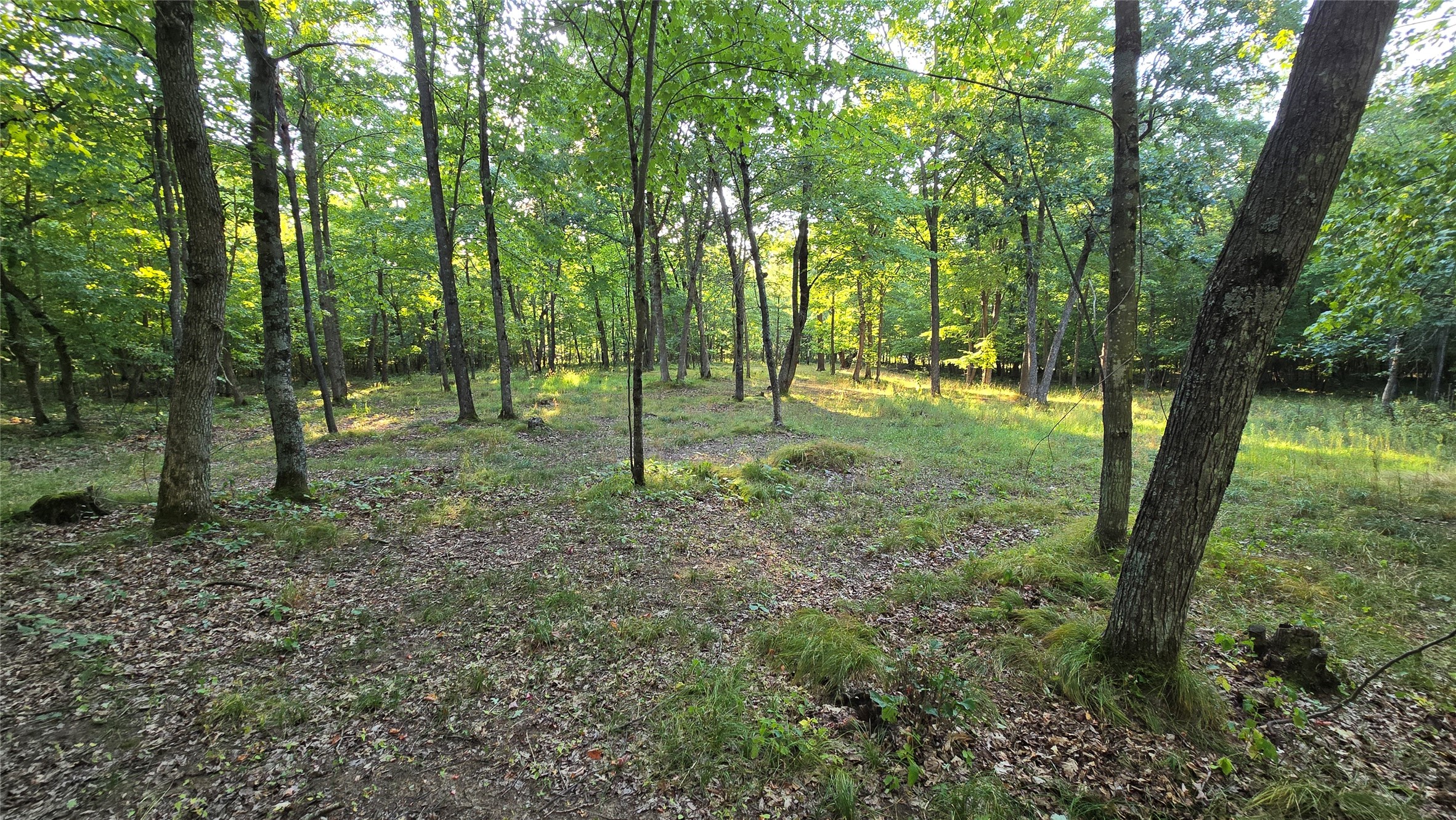 W02 State Hwy 64 Property Photo 18