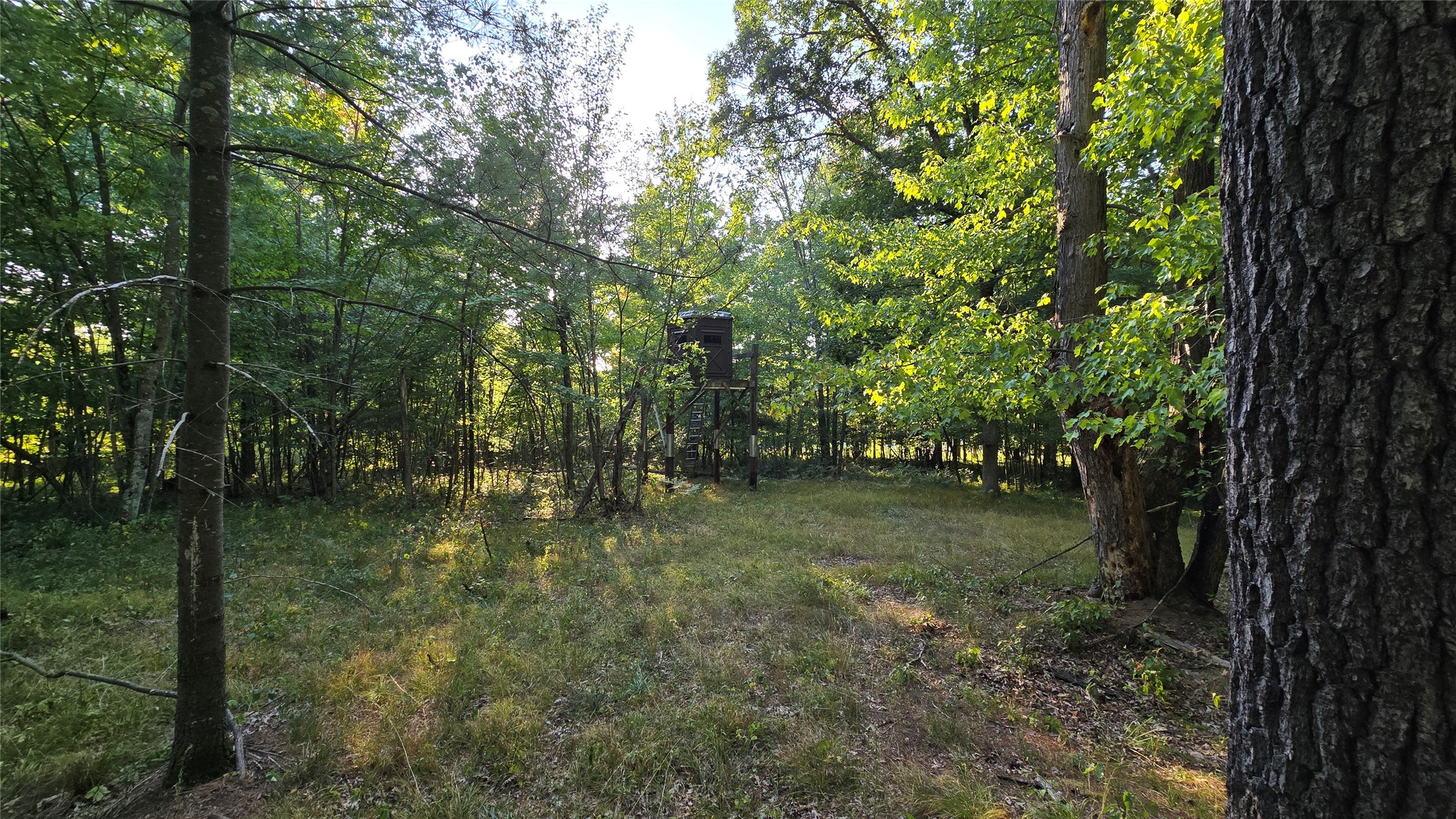 W02 State Hwy 64 Property Photo 19